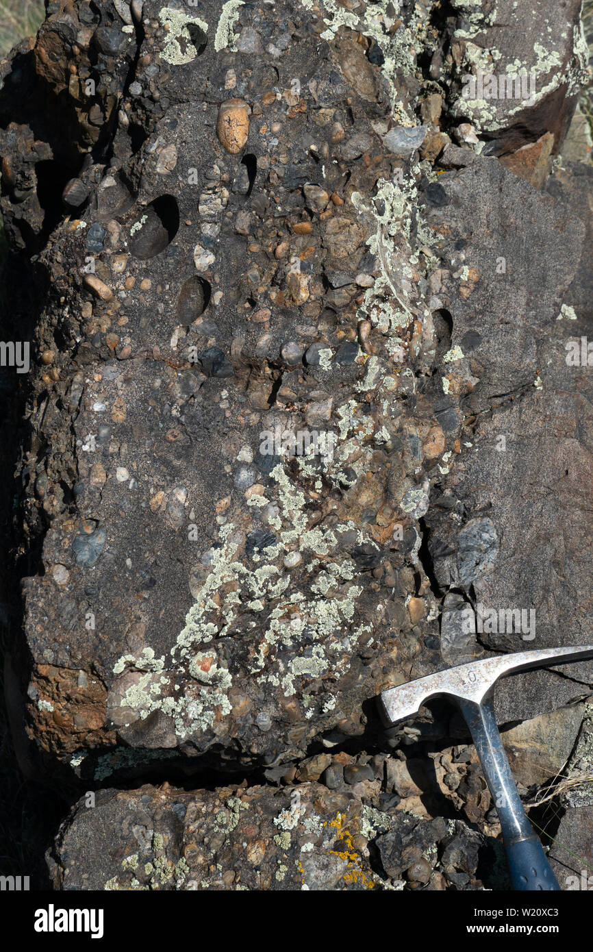 Vista ravvicinata di conglomerato e di arenaria del Cretaceo formazione Kootenai, southwestern Montana Foto Stock
