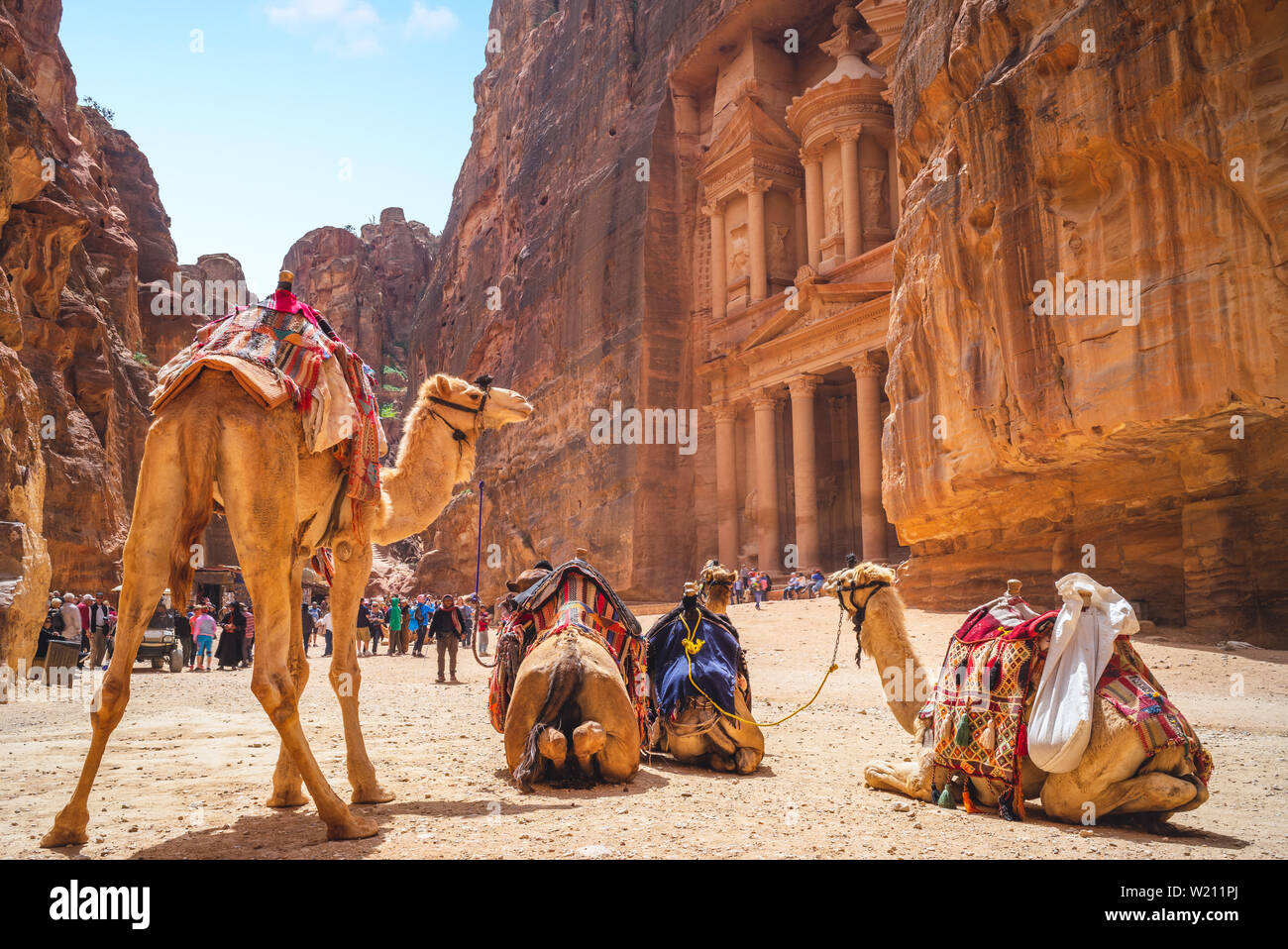 Petra Al Khazneh (tesoro) con i cammelli in Giordania Foto Stock