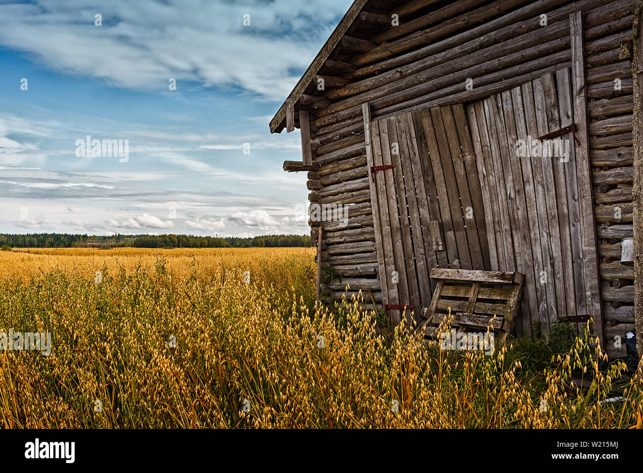 Le porte di un vecchio fienile house sono stati chiusi fino a quando l'agricoltore inizia il lavoro del raccolto. Il cielo di autunno sono drammatiche in corrispondenza delle zone rurali della Finlandia. Foto Stock