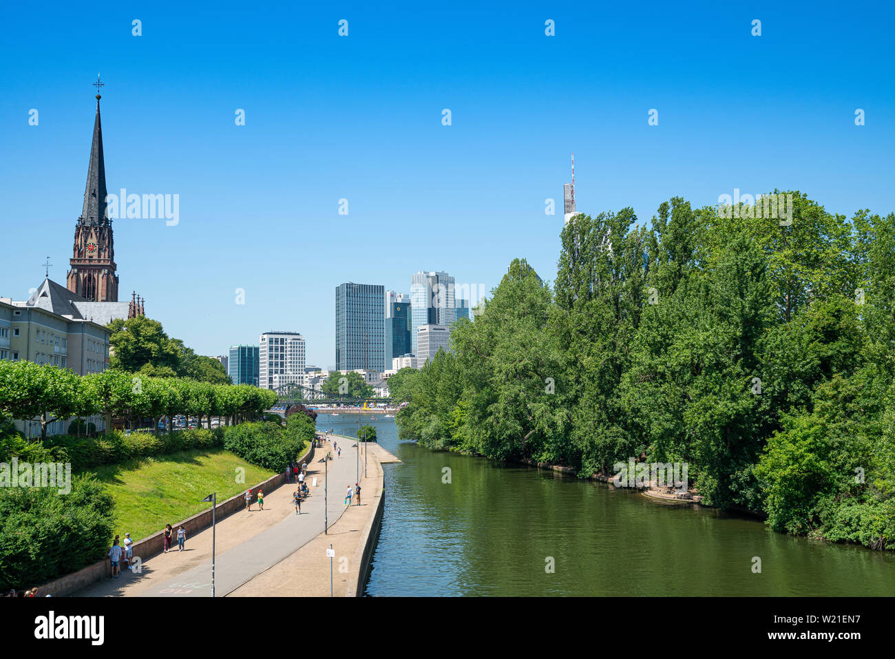 Francoforte, Germania. Luglio 2019. La natura sulla riva del fiume Main Foto Stock