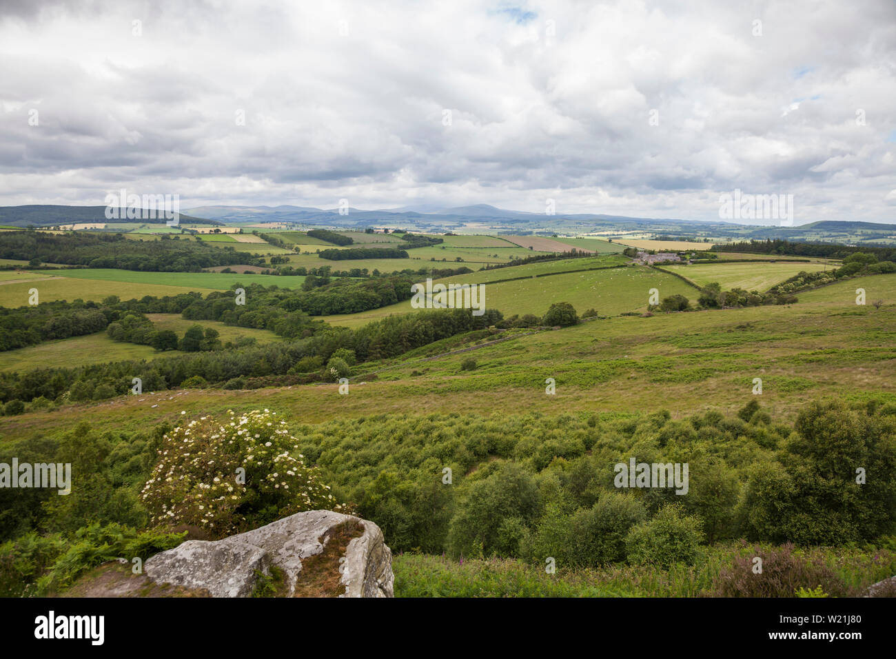 La paesaggistica campagna tra Rothbury e Alnwick con il Cheviot Hills in background in North East England, Regno Unito Foto Stock