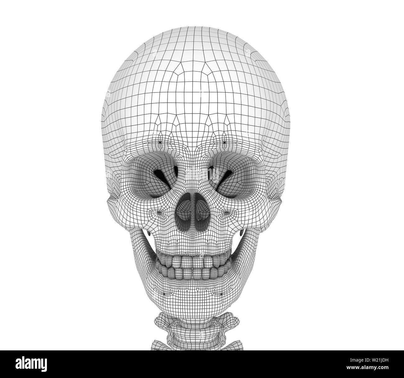 Cranio umano scheletro, isolata. Accurata dal punto di vista medico 3d'illustrazione . Foto Stock