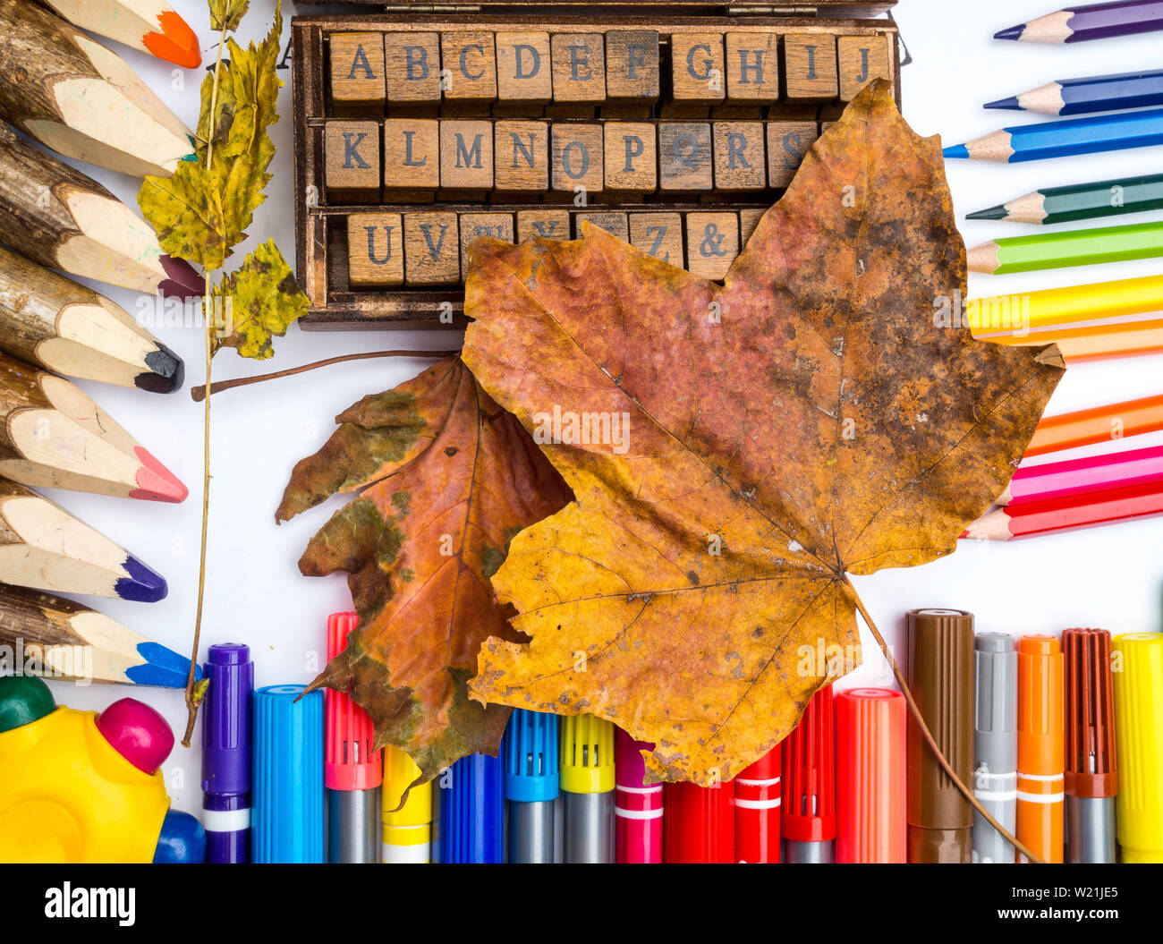 L'alfabeto inglese in arancione con foglie d'autunno, su sfondo bianco Foto  stock - Alamy