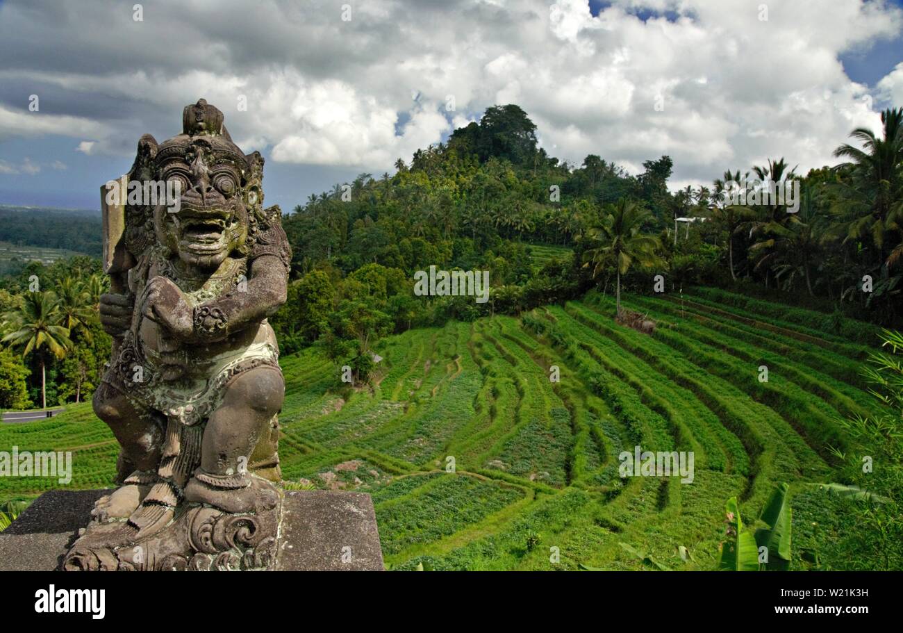 Un tradizionale design Balinese statua sul lato di una piantagione di terrazza. Foto Stock