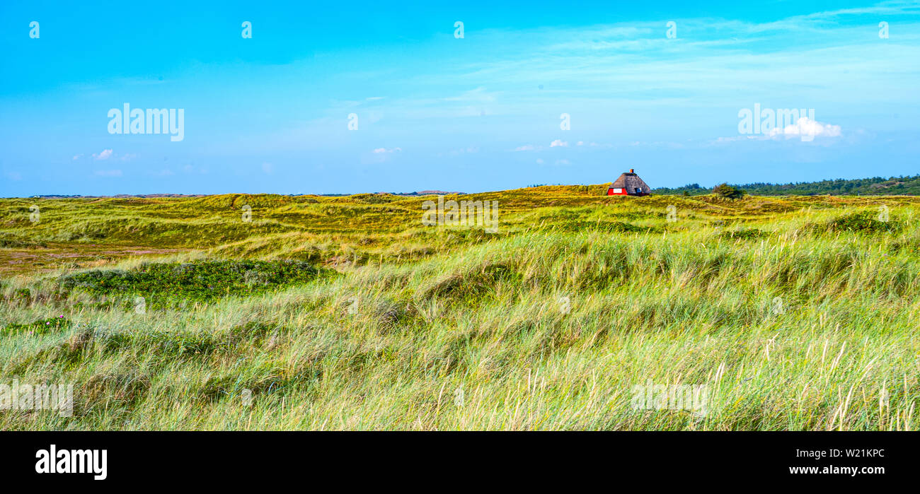La Danimarca, la penisola dello Jutland, Nymingab distretto, paesaggi selvaggi nel deflusso di Ringkobing fjord Foto Stock