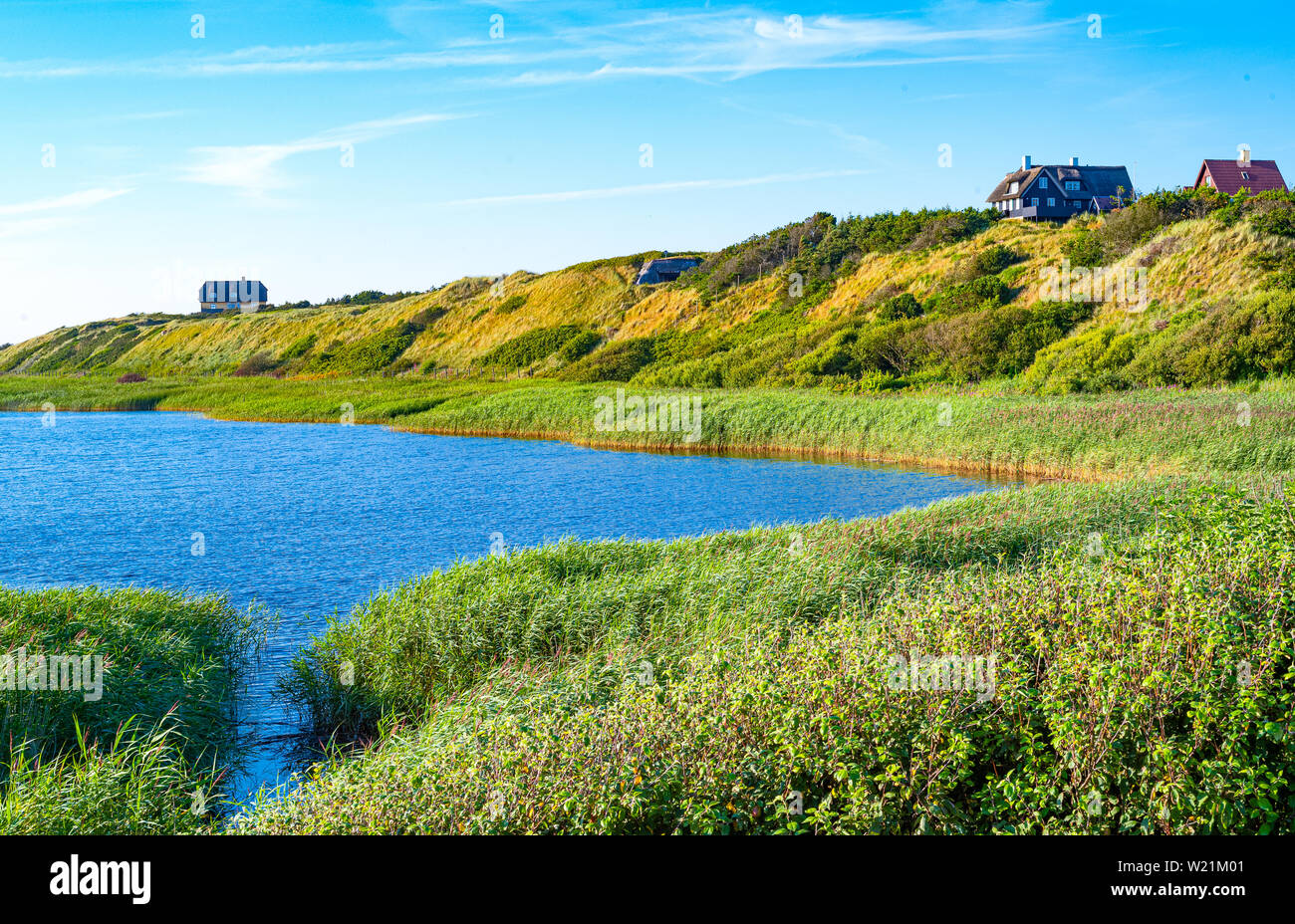 La Danimarca, la penisola dello Jutland, Nymingab distretto, paesaggi selvaggi nel deflusso di Ringkobing fjord Foto Stock
