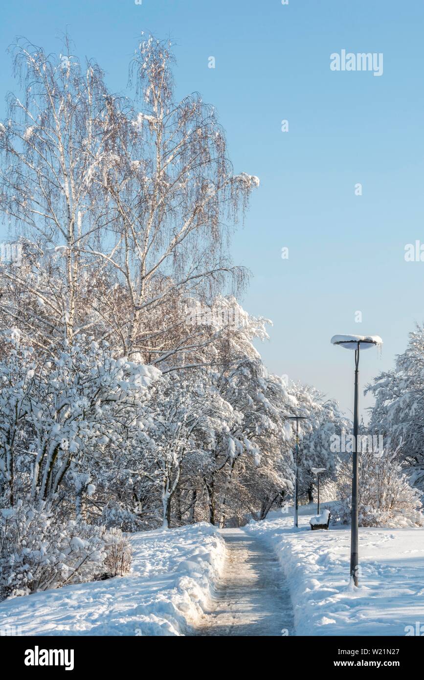 In un parco in inverno con neve, Harlaching, Monaco di Baviera, Germania Foto Stock