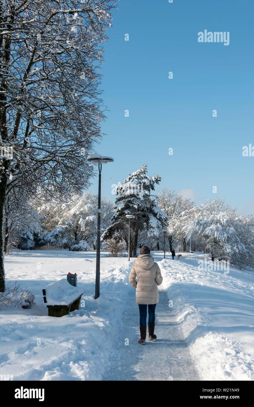 Passeggiate pedonali, percorso in un parco in inverno con neve, Harlaching, Monaco di Baviera, Germania Foto Stock
