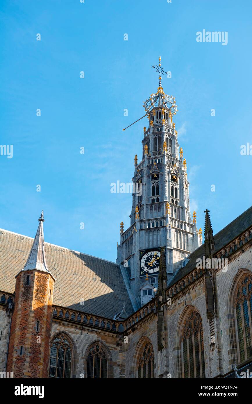 La torre della cattedrale gotica Sint-Bavokerk, Grote Markt, Haarlem, provincia Olanda Settentrionale, Noord-Holland, Paesi Bassi Foto Stock