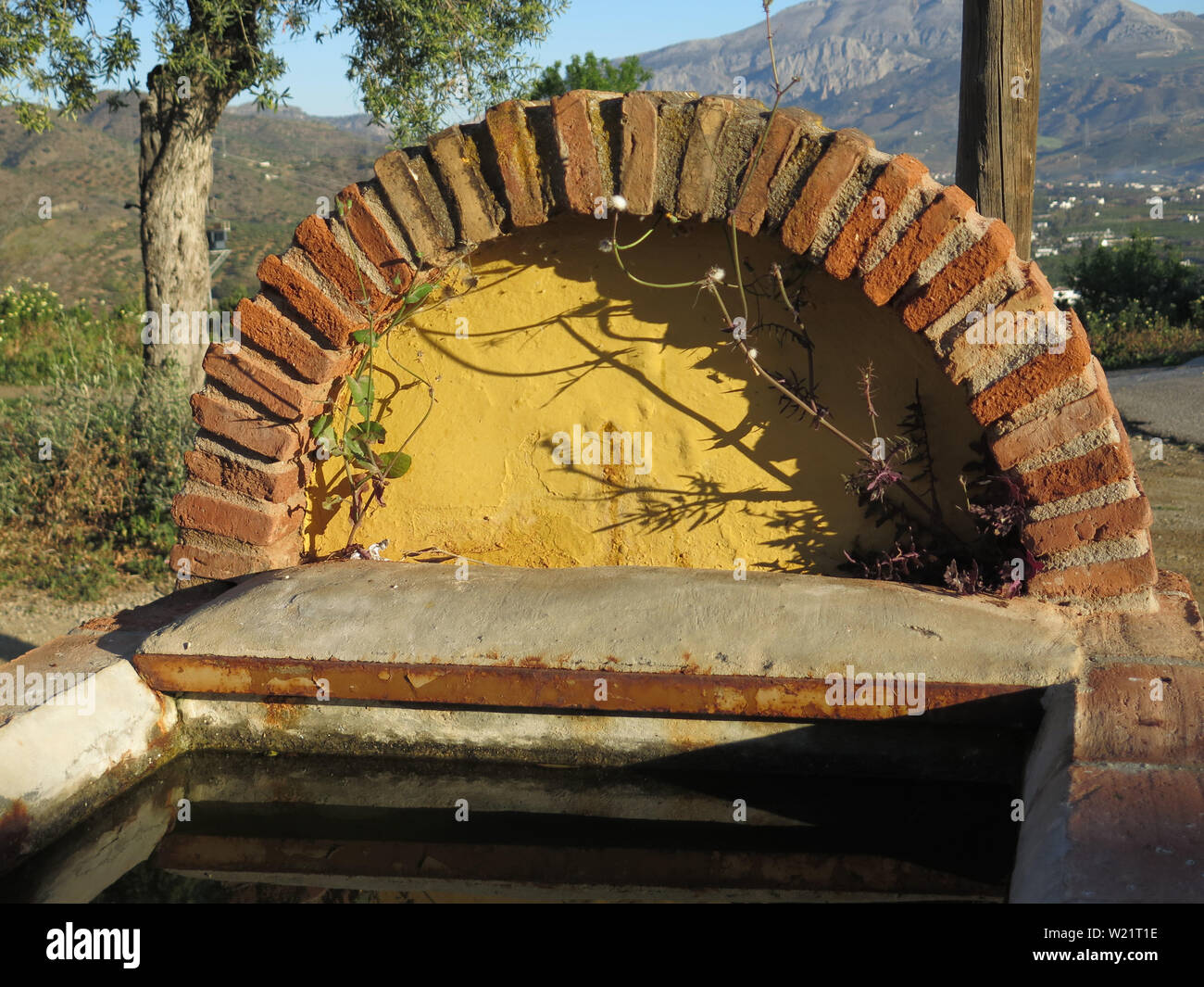Grande costruito in mattoni di bestiame rustico abbeveratoio ombreggiatura sotto alberi di olivo nella rurale Andalusia Foto Stock