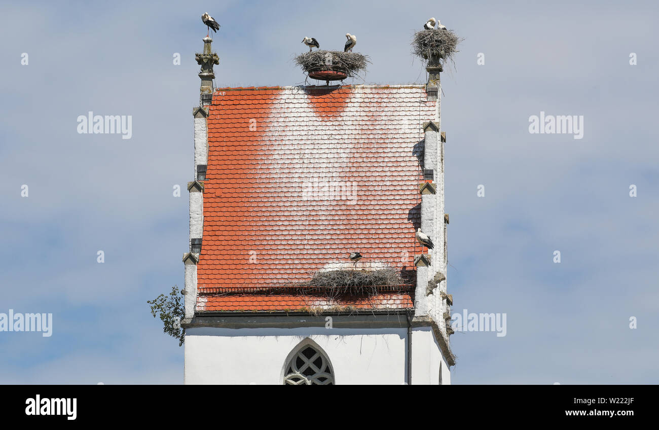 Bad Saulgau Moosheim, Germania. 05 Luglio, 2019. Tre i nidi hanno costruito sei cicogne sul campanile della chiesa parrocchiale di San Giovanni. In uno dei nidi sono stork prole. Credito: Thomas Warnack/dpa/Alamy Live News Foto Stock