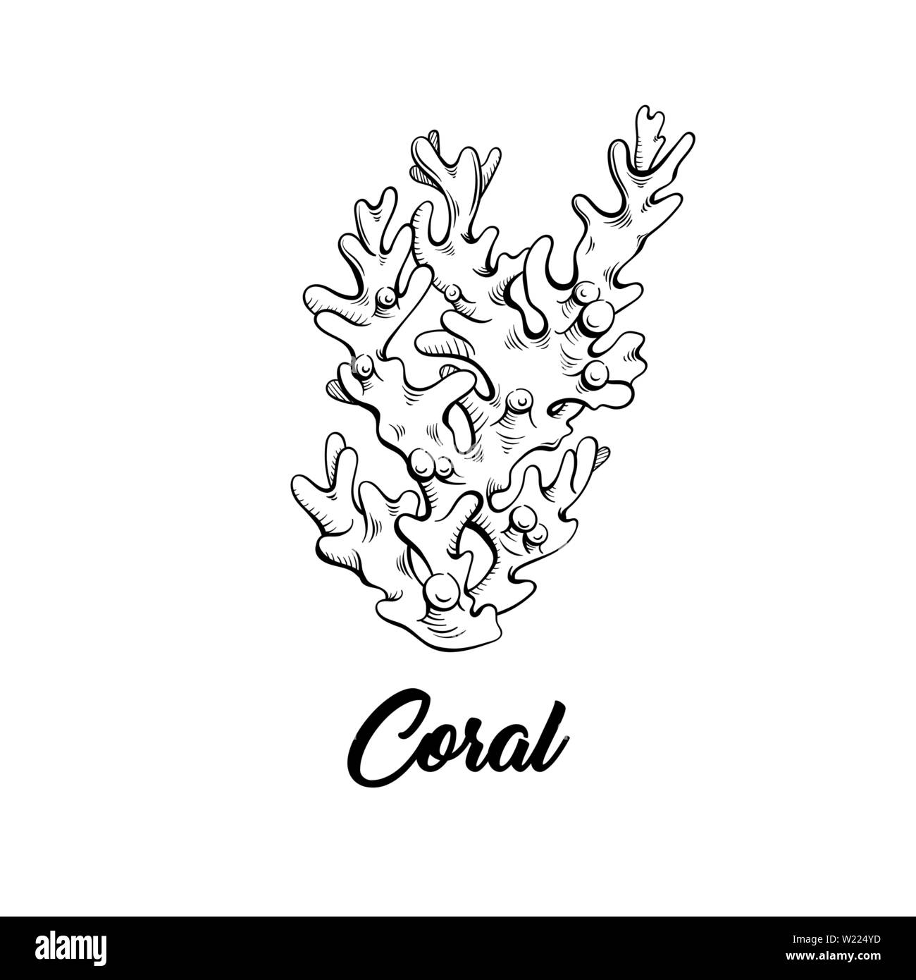 Coral inchiostro nero disegnati a mano illustrazione. La vita marina, mare ecosistema reef wildlife incisione in bianco e nero. Decorazione di acquario. Scuba diving, snorkeling logo del club. Poster, striscioni elemento di design Illustrazione Vettoriale