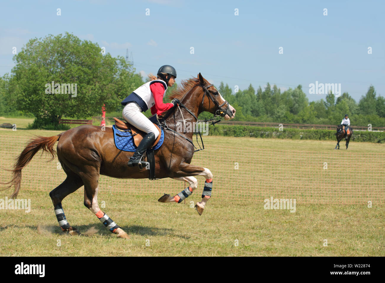 Cavaliere al galoppo sul cavallo a evento equestre Foto Stock