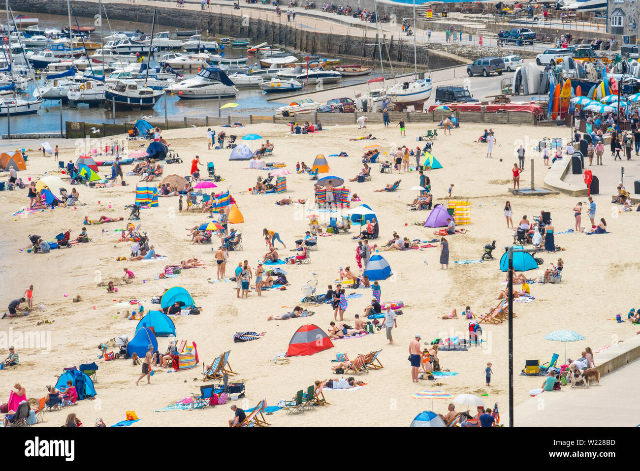 Lyme Regis, Dorset, Regno Unito. 4 luglio 2019. Regno Unito: Meteo lucertole da mare gregge alla spiaggia presso la località balneare di Lyme Regis in ammollo fino a caldo cocente sole e cieli blu in vista del weekend. Credito: Celia McMahon/Alamy Live News. Foto Stock