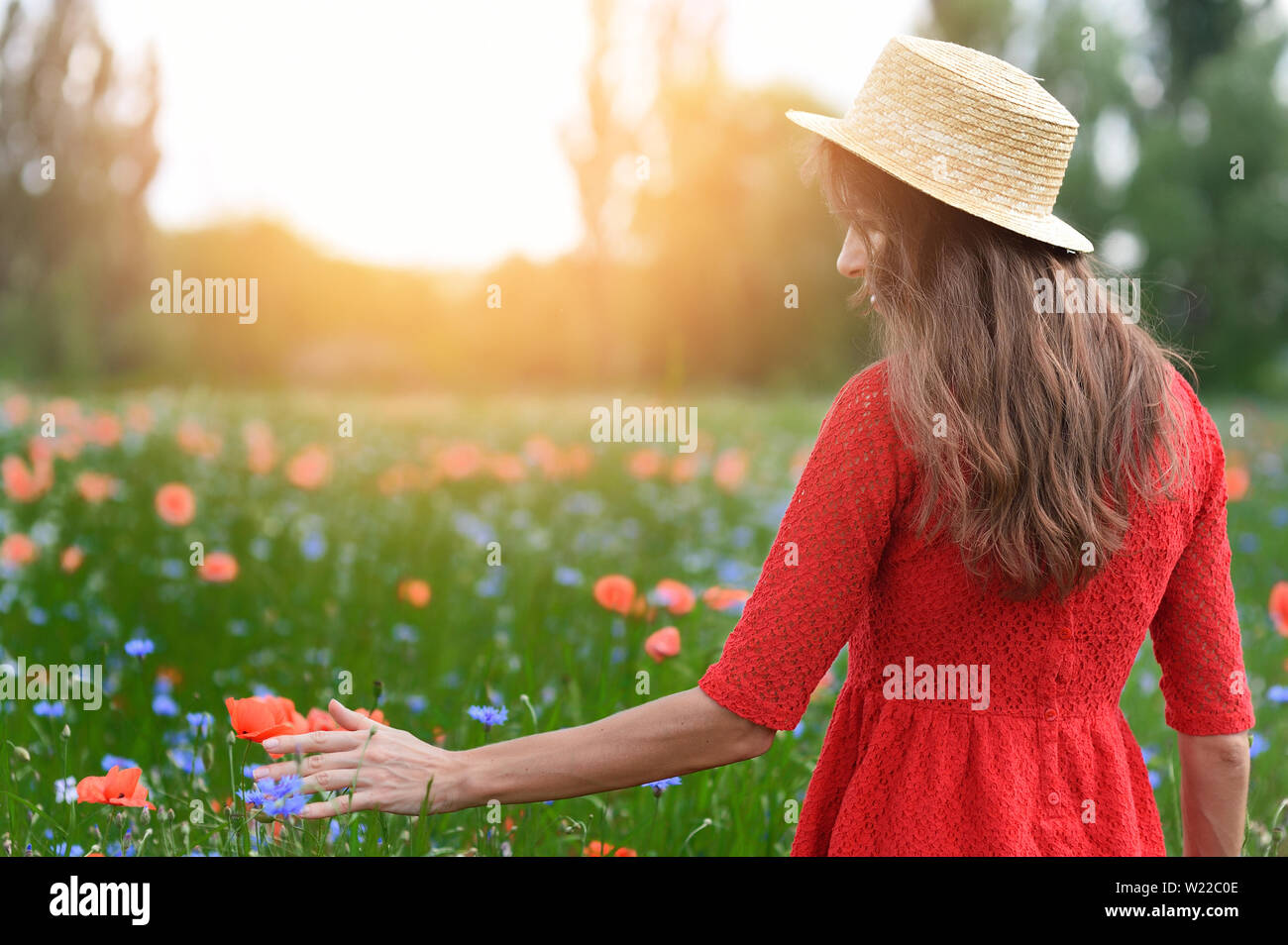 Bella giovane donna romantica nel cappello di paglia camminando sul papavero di Campo dei Fiori e prende il papavero. Estate morbidi colori del tramonto Foto Stock
