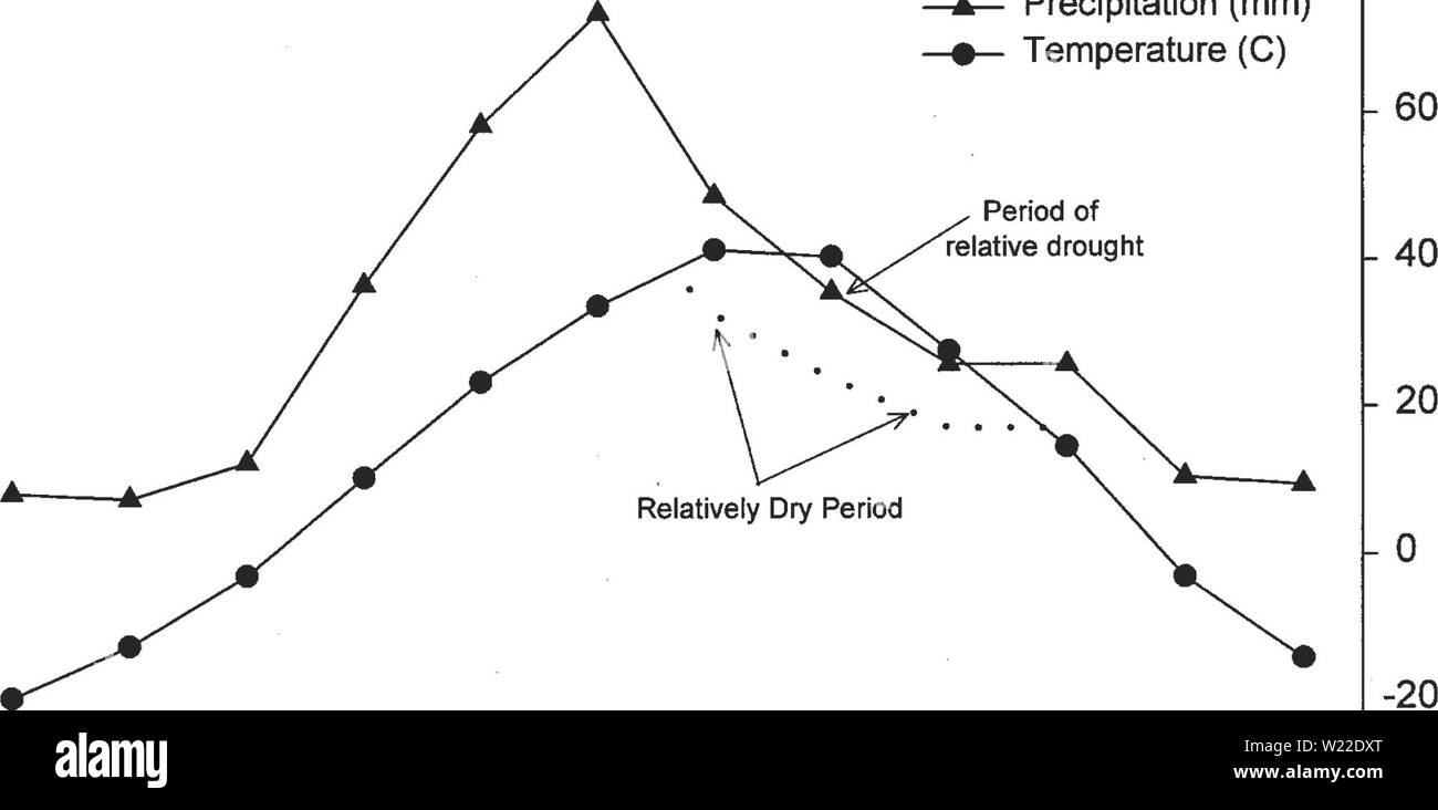Archivio immagine dalla pagina 12 della botanica e della vegetazione del sondaggio. Botaniche e vegetazione indagine di Carter County, Montana, Bureau of Land Management-somministrato terre D4B7AF30-6FF2-4017-ADC9-7C50A7256521 Anno: 1998 R 80 60 -40 E E C: 20 B (0 â q. o (D - 0 T 1 1 1 1 1 1 1 1 1 I r Gen Feb Mar Aprile Maggio Giugno Luglio ago sett ott nov dic -20 -40 O L- U 5 0) D. E Albion. MT (1006 m/3300 ft) (5,8 C/42,5 F) (353 mm/13.89 in) (1948 - 1997) 40 -, r 80 âAâ precipitazione (mm) 35 30 25 20 15 -Mi 10 5 -I 0 -5 -10 -15 -20 Â"â temperatura (C) periodo di relativa siccità /////////Z7Z7l e e d o (0 Q- O Foto Stock