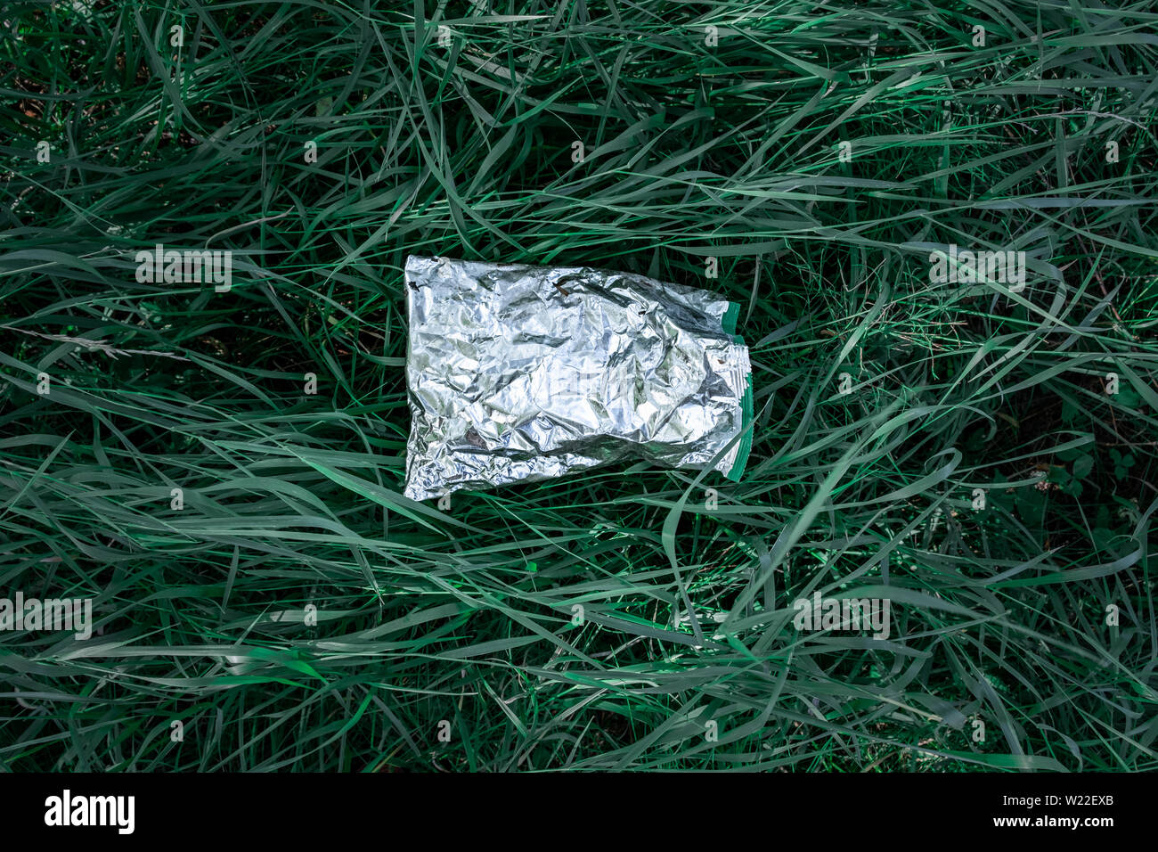 Sacchetto di plastica in erba verde, natura concetto dell'inquinamento. Pezzo di immondizia di plastica (vuoto confezione per alimenti) gettato su un prato Foto Stock