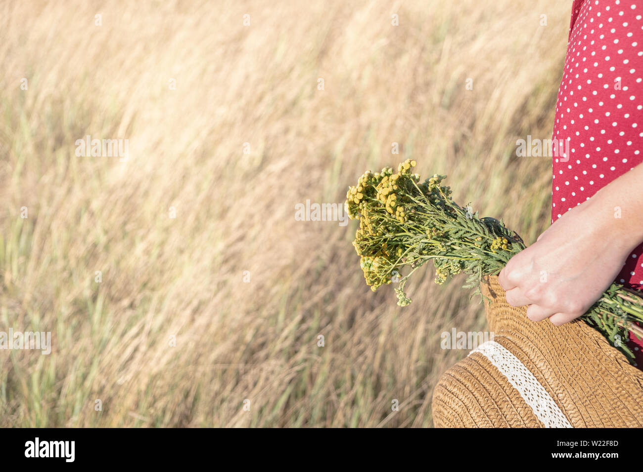 La donna con un mazzo di fiori e un cappello nel campo. Rurale scena: femmina in abito a pois con il contadino hat e bouquet di fiori in mano Foto Stock
