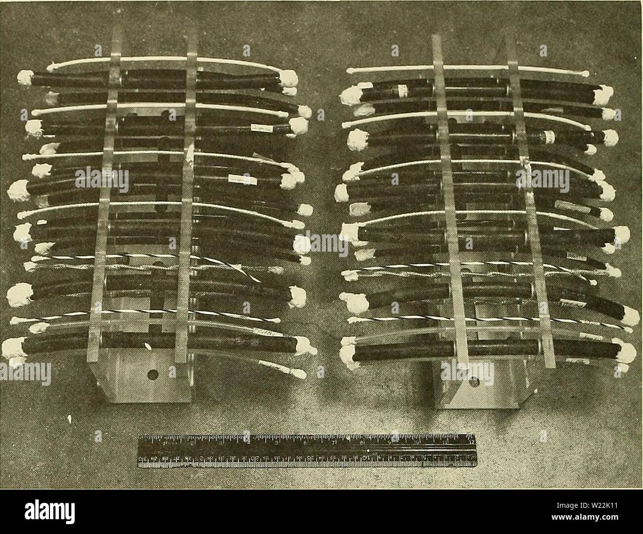 Immagine di archivio da pagina 21 del profondo oceano-il degrado biologico dei beni materiali (1965). Deep Ocean biodeterioration di materiali deepoceanbiodete03mura Anno: 1965 in Figura 10. Singolo e a più conduttori dei cavi elettrici prima dell'esposizione. Le estremità sono sigillate con gomma siliconica cemento. Foto Stock