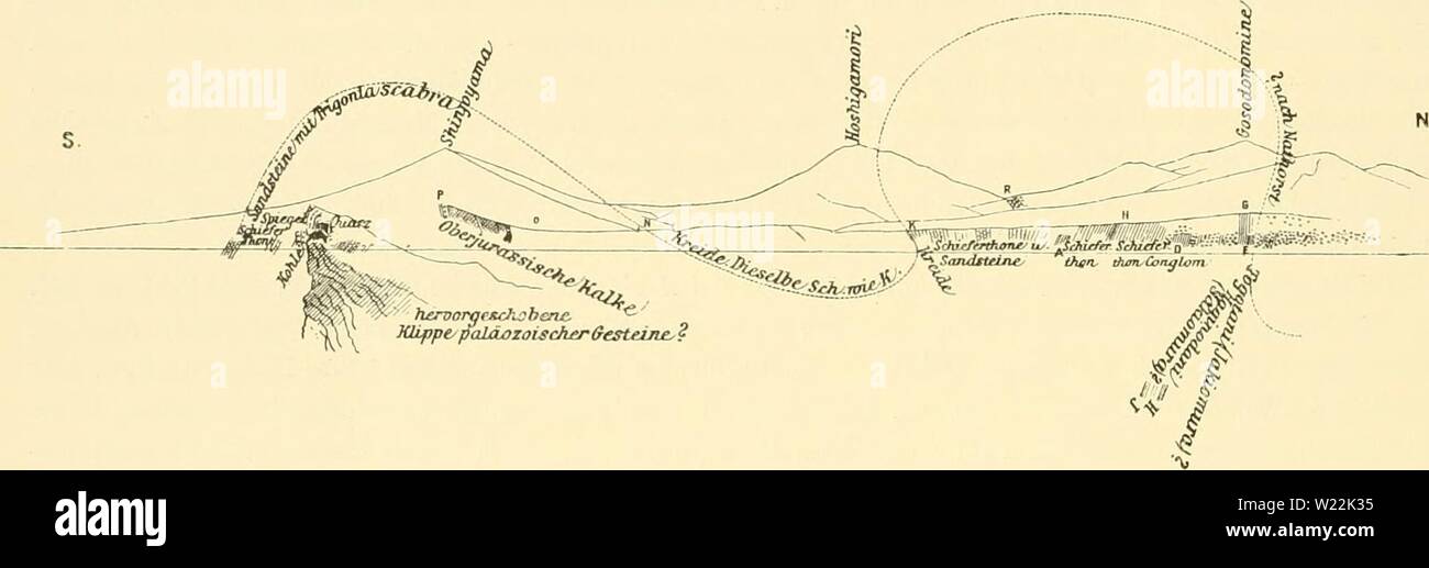 Immagine di archivio da pagina 21 del Denkschriften der Kaiserlichen Akademie der. Denkschriften der Kaiserlichen Akademie der Wissenschaften, Mathematisch-Naturwissenschaftliche Classe denkschriftender57kais Anno: 1890 14 E. Na um KIIII und M. Nenmai/r, Die Vcrliältiiisse von G- 0 sind aus der Skizze zu erselicn. Tm Thale von Okunii, NW. von der Spitze des Sliinjoyaraa, Kalkablagerungen beanspruchen ein ganz hervorragendes intèresse. Die Kalklagc ist sehr mächtig, circa 1)0;"; sie enthält Einlagerungen eines grauen, feinkörnigen Sandsteines. Die Lagerungs- verluältnissc des durch glandilere Cidarit Foto Stock