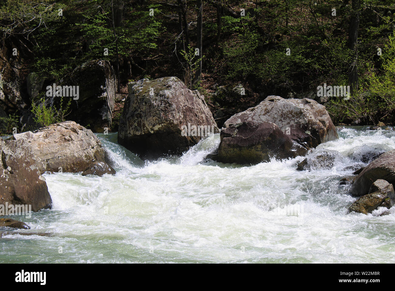 Rapide sul Richland Creek nelle Ozark Mountains in Arkansas, Stati Uniti Foto Stock