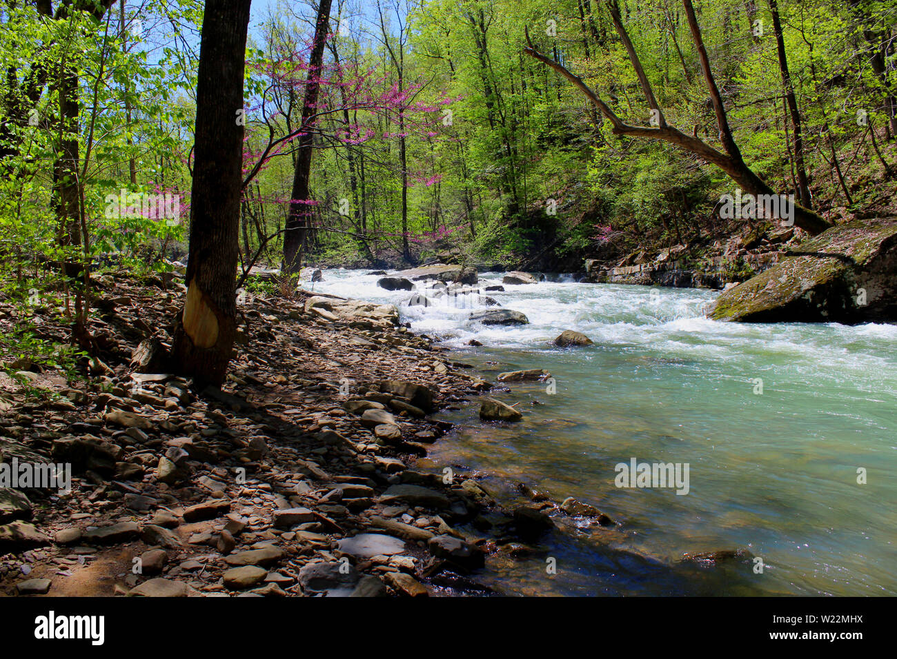 Deflusso di neve a Clark Creek, sulle Ozark Mountains, Arkansas Foto Stock