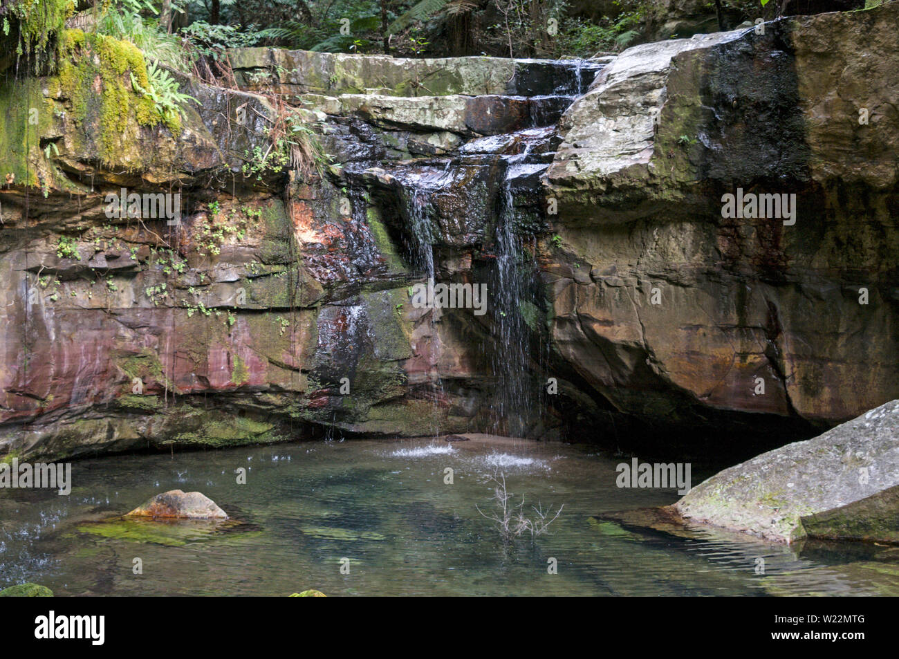 Il muschio giardino cascata in cui l'acqua piovana è imbevuto come una spugna su moss ricoperta di rocce arenarie e incontra un impenetrabile strato di roccia noto come S Foto Stock