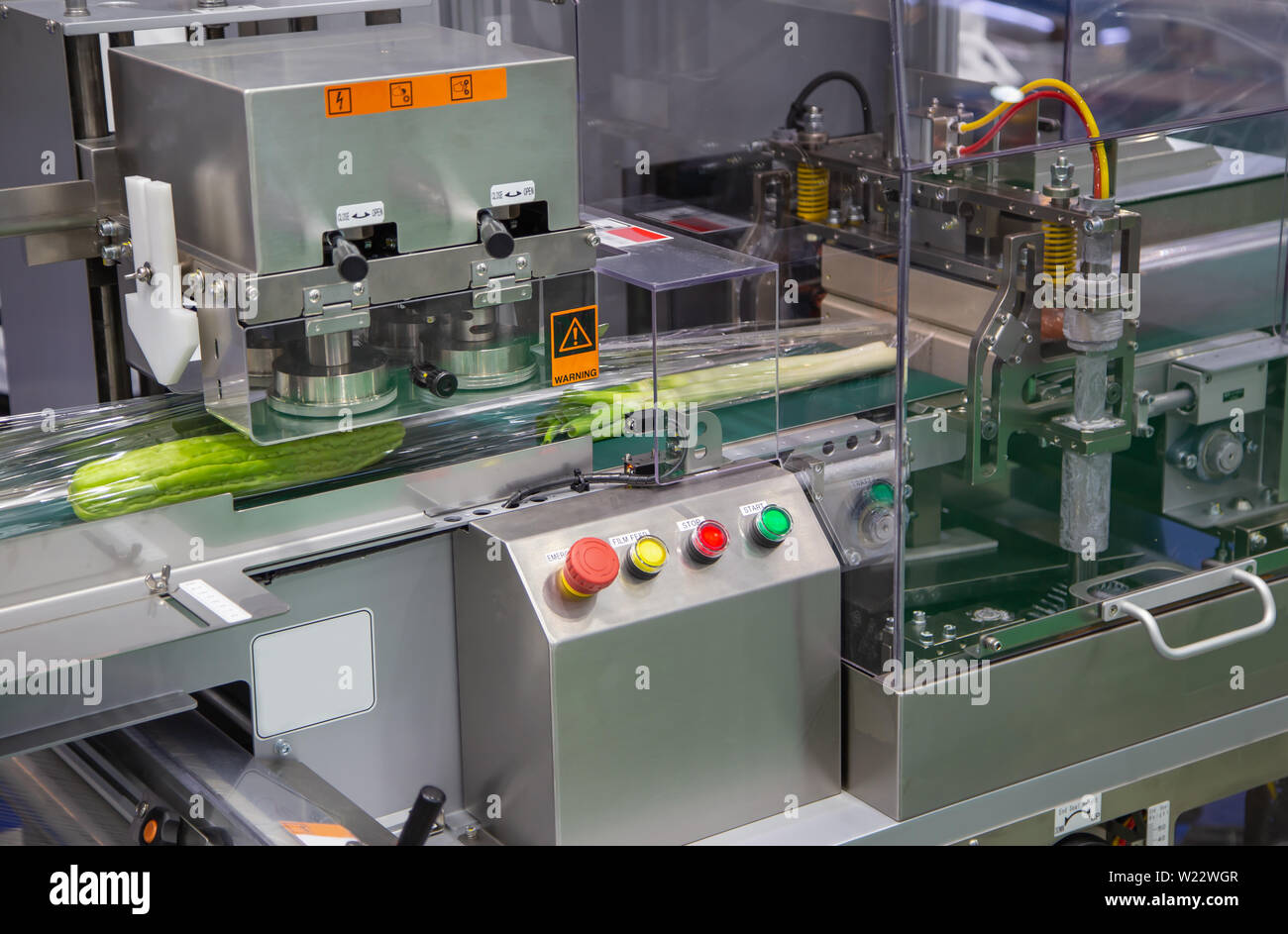 Automatico di vegetali e frutta cuscino di flusso macchina impacchettatrice Foto Stock