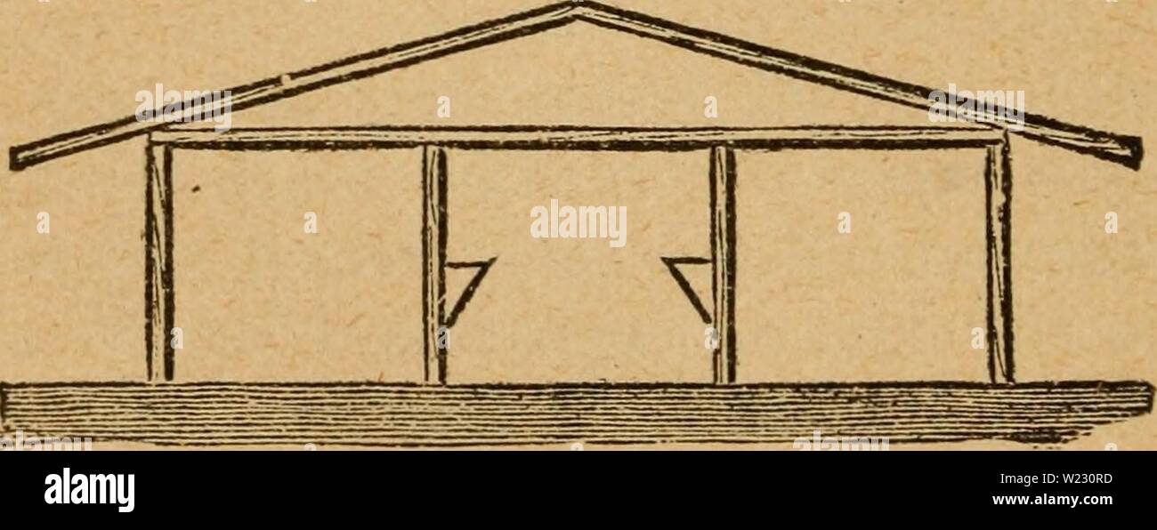 Immagine di archivio da pagina 121 del casaro's manuale; una pratica. Il casaro's manuale; una pratica Treatise on il caseificio dairymansmanualp01stufare Anno: 1888 116 il casaro S MANUALE. si spegne, cinque da dieci piedi e allentato un box per una vacca, sette e mezzo in dieci piedi, con un passaggio in cui è un vassoio di alimentazione, camera per una fresa di foraggi e mangimi box, e scale per il fieno loft. Sopra la scatola di alimentazione è un fieno shnte dal soppalco sopra. Il pollame-casa confina con il passaggio dal quale t&GT;vo porte aperte in esso. Questa casa è diciotto da dodici piedi, e presenta una parte anteriore slopmg di anta vetrata. Il CL MI FIF Foto Stock