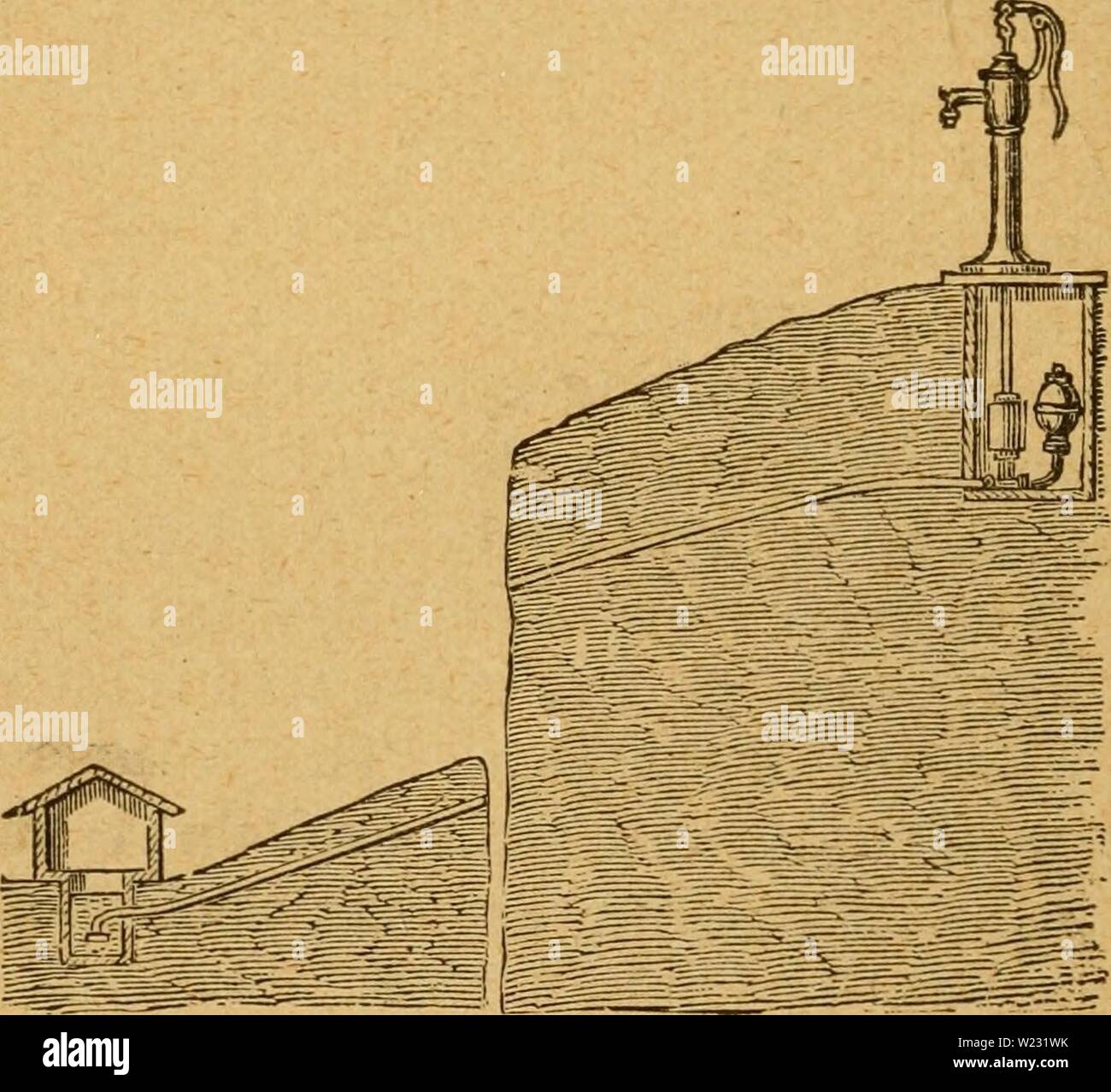 Immagine di archivio da pagina 125 del casaro manuale di a. Il casaro il manuale : un pratico trattato sui prodotti lattiero-caseari, ivi compresa la selezione della fattoria dairymansmanualp88stufare Anno: 1888 120 l'DAlRYMANS manuale. Nel caso in cui l'altezza della collina era troppo grande per permettere di utilizzare una comune pompa di aspirazione, un asciutto bene è stata scavata a una profondità sufficiente, vale a dire otto piedi e il tubo è stato portato al fondo di esso e collegato con una forza pompa, in modo che l'acqua potrebbe essere portato da- mezzo di un tubo flessibile di una qualsiasi parte del cantiere o maneggio (vedere la figura 19). Un ugello collegato al tubo flessibile di questo fatto è facile Foto Stock