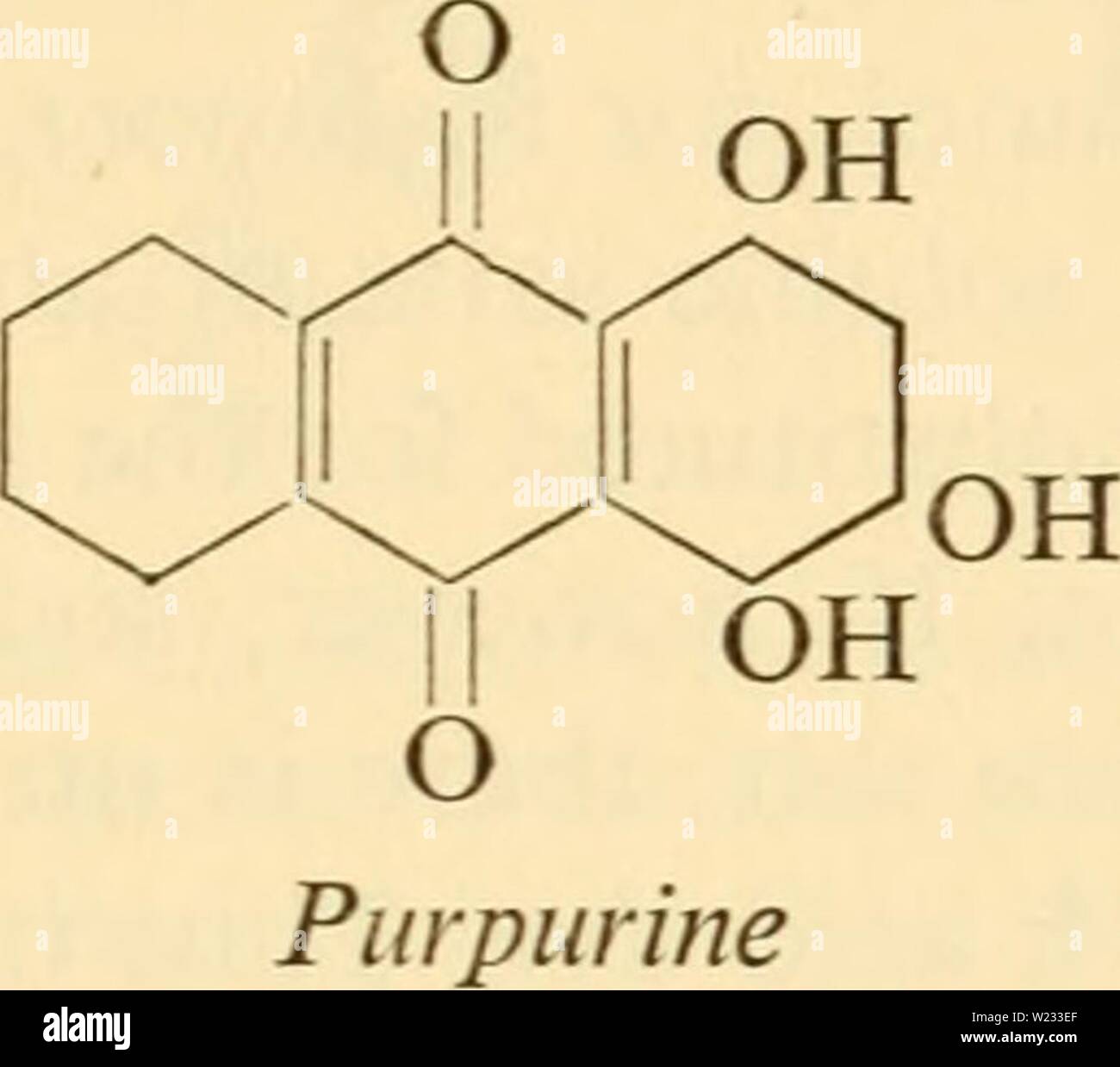 Immagine di archivio da pagina 130 della tecnica citologico; i principi sottostanti. Tecnica citologico; i principi alla base di metodi di routine cytologicaltechn00cuocere Anno: 1960 avviene in purpurine ma non in alizarina, è piuttosto reattivi e i due coloranti tendono a comportarsi allo stesso modo con la mordenzatura. Entrambi i coloranti sono naturalmente presenti nella forma di glucosidi nella radice della pianta più arrabbiata, Rubia tinctonim (Rubiaceae), ma i prodotti sintetici sono quasi sempre utilizzati. Purpurine purtroppo è chiamato, in quanto si tratta di un colorante rosso. Se purpurine viene disciolto a saturazione in 60°o etanolo, esso agisce come un t Foto Stock