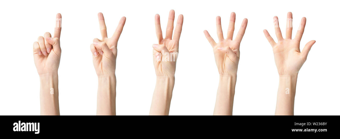 Un collage di mani che mostra uno due tre quattro cinque isolati su sfondo bianco Foto Stock