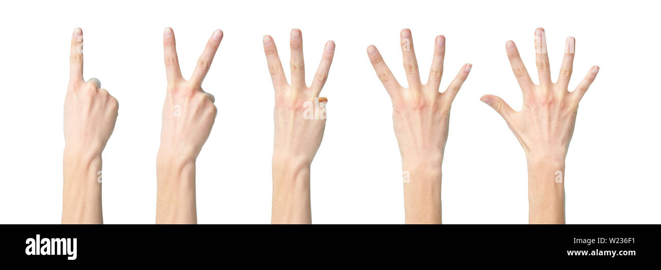 Un collage di mani che mostra uno due tre quattro cinque isolati su sfondo bianco Foto Stock