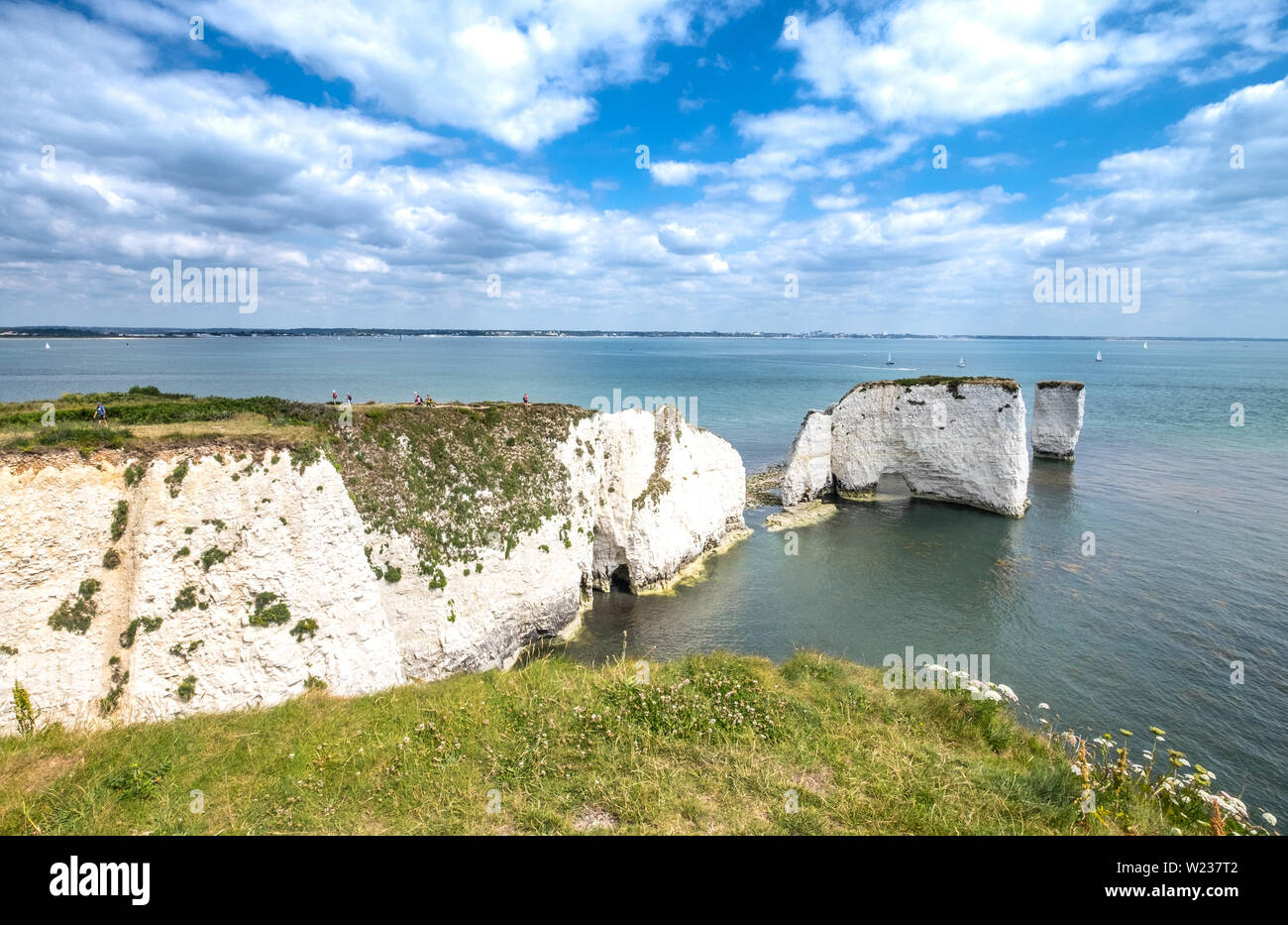 Old Harry Rocks, Isle of Purbeck, Dorset, Regno Unito Foto Stock