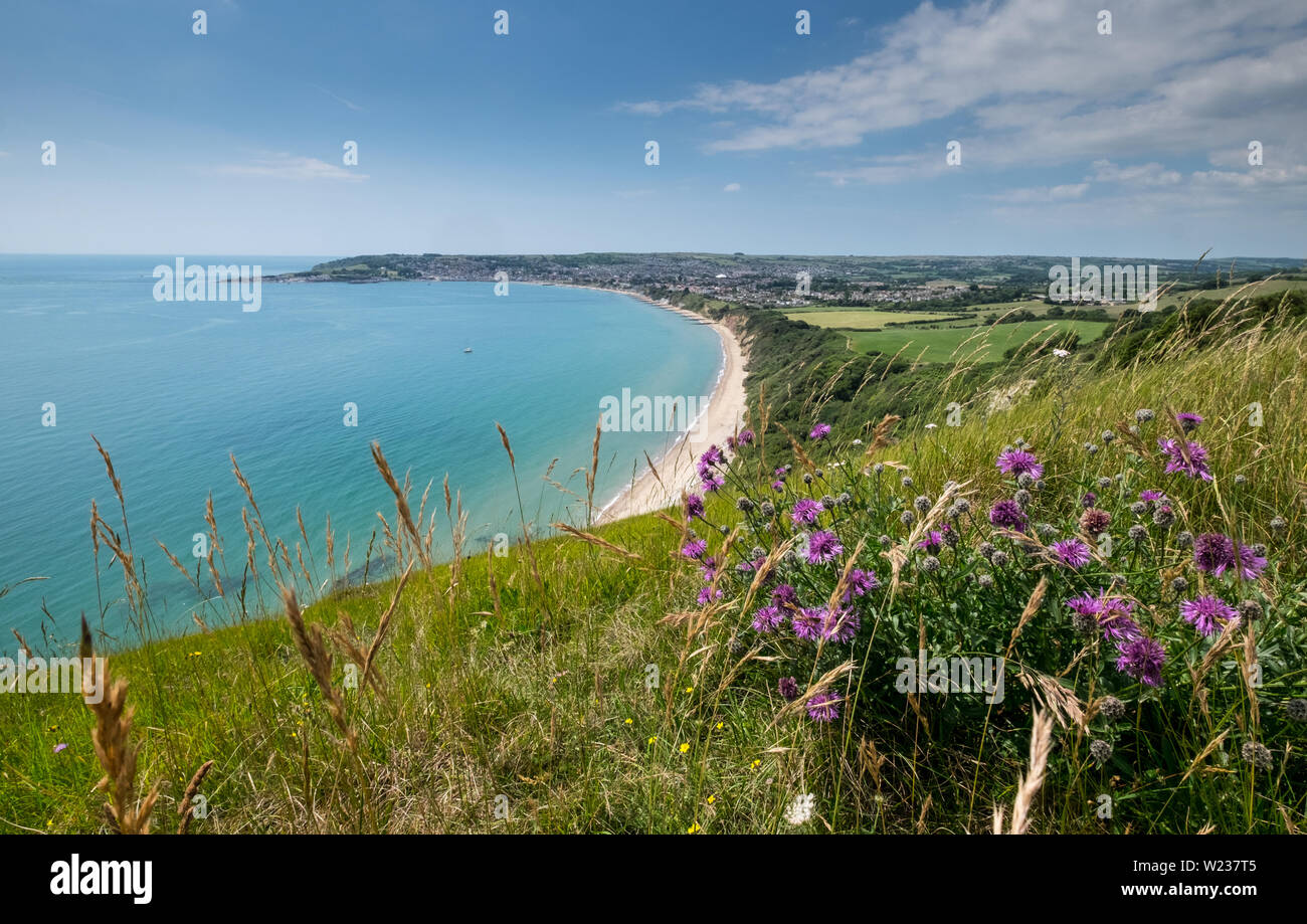 Swanage Bay dal sentiero costiero su Ballard giù, Dorset, Regno Unito Foto Stock