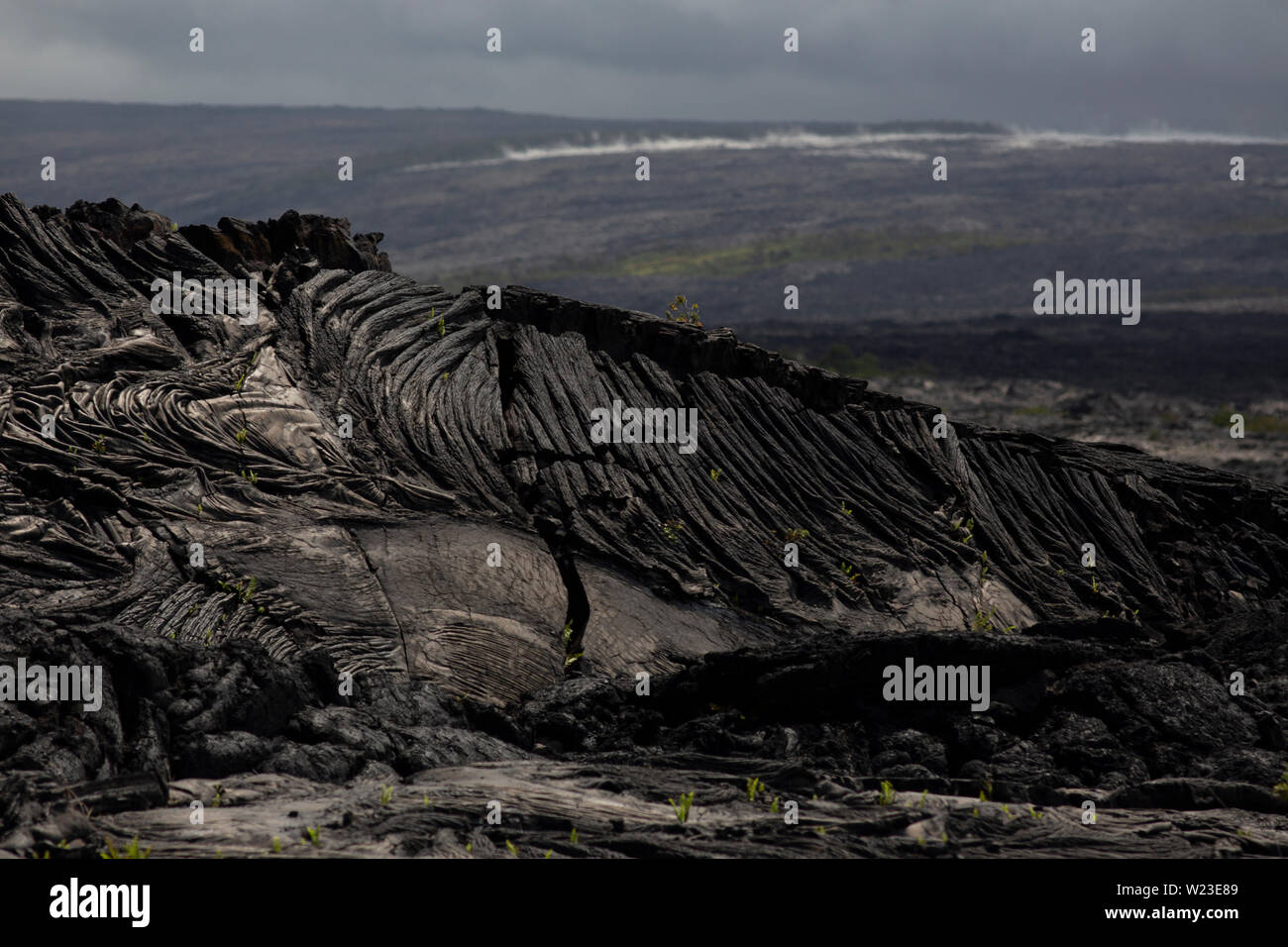 Campo di lava pahoehoe roccia sul vulcano Kilauea, Big Island delle Hawaii, Foto Stock