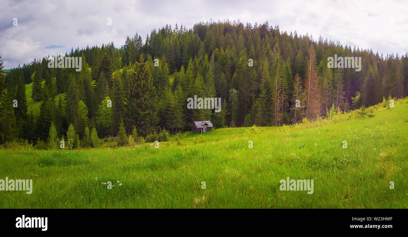 Vista panoramica delle montagne dei Carpazi natura, una vecchia casa sulla valle circondata dalla foresta di conifere sulle colline. Soleggiata giornata di primavera con erba verde Foto Stock
