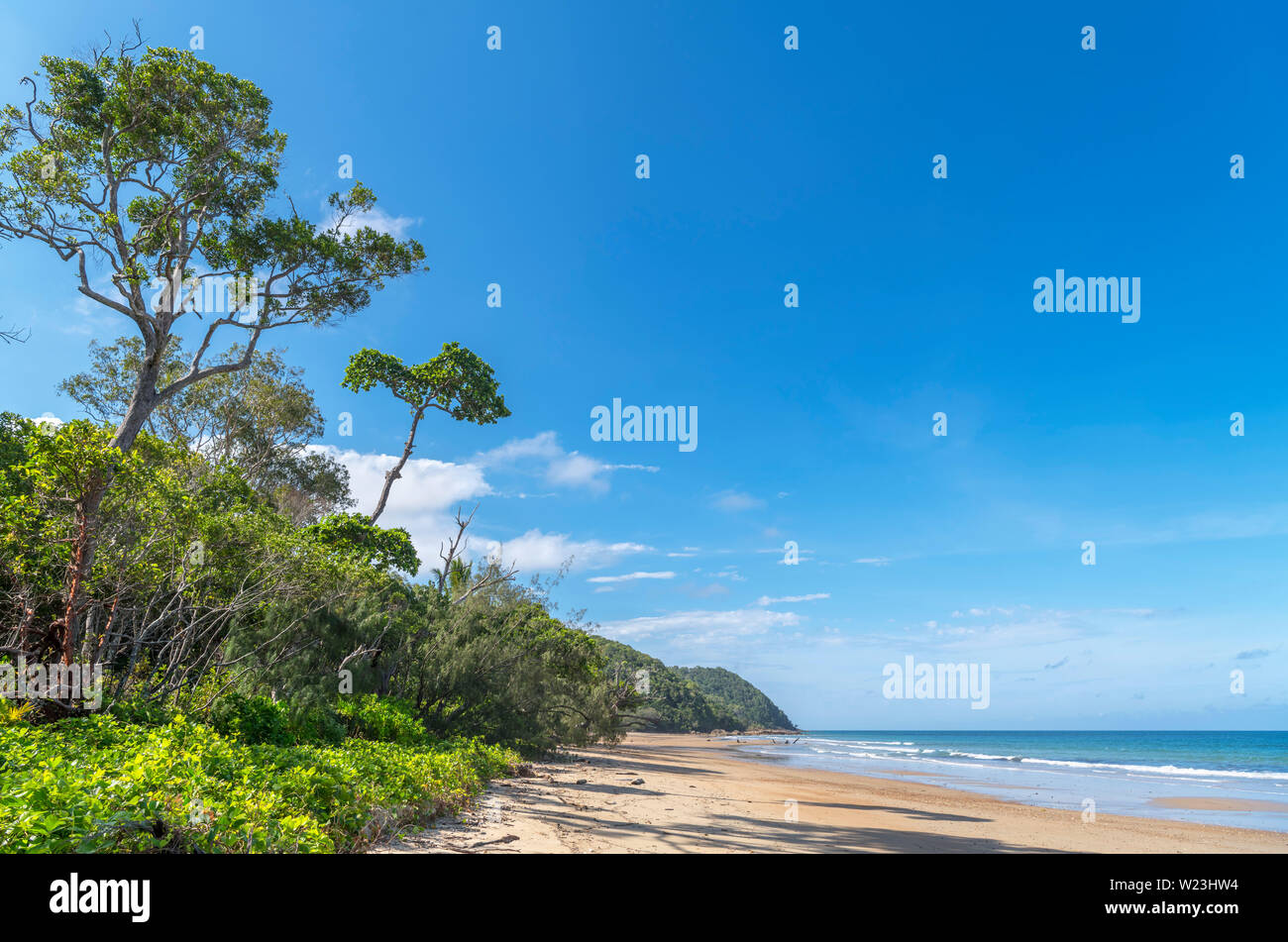 Spiaggia di Baia di mucca, la foresta pluviale di Daintree, Parco Nazionale Daintree, Queensland, Australia Foto Stock