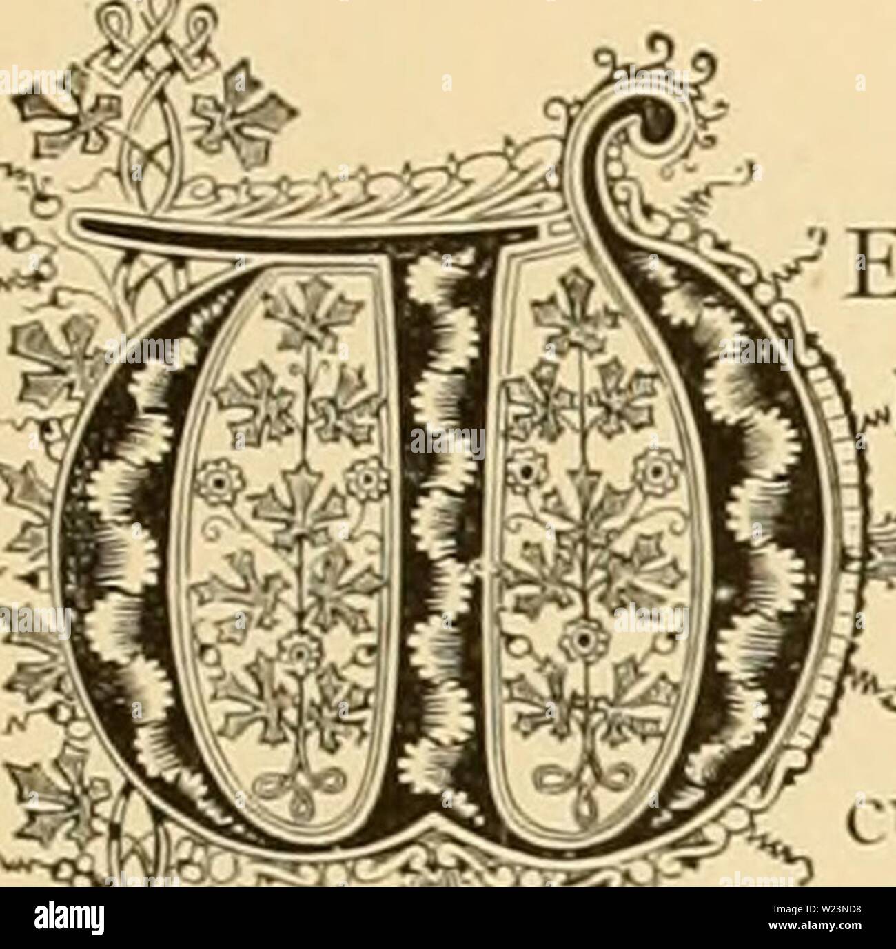 Immagine di archivio da pagina 176 di dell'enciclopedia pratica della floricoltura (1884). Dell'enciclopedia pratica di floricoltura cyclopediaofprac00girare Anno: 1884 :atft 1 ricrt OOrttta. Ordine naturale: EricaceceâHeath famiglia. E tind ma pochi brughiere tra le piante di un misto di green house, come l'idea prevalente è che essi richiedono una particolare â > atmosfera e le condizioni di temperatura per crescere fl o w ell in Europa, le case sono dedicate exxlusiyely a loro ,,se,.... Il British brughiere crescere in tetro e luoghi desolati, '- md aie utilizzati b} la classe più povere di thatch loro cabine, chi, ike poveri di e Foto Stock