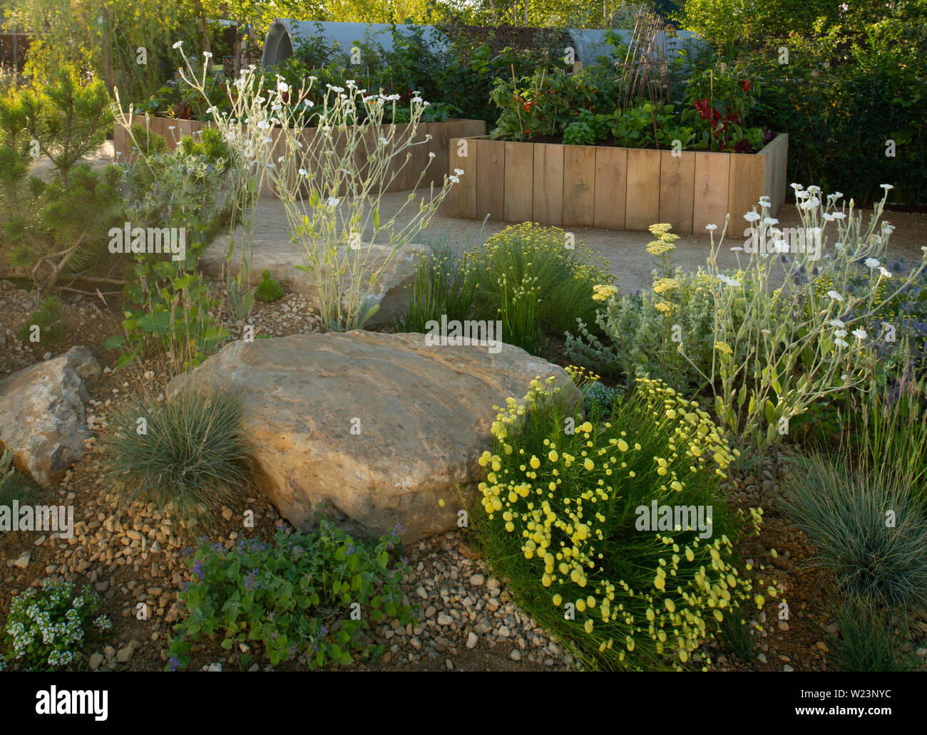 Impianti nella zona asciutta della Thames Water fiorente F, uture giardino, un giardino show all'Hampton Court Palace Garden Festival 2019, East Molesey, Foto Stock