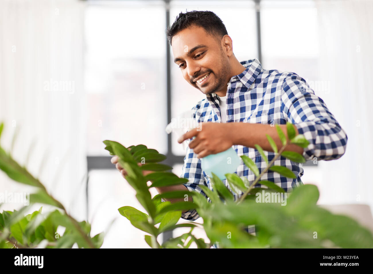 Indian uomo houseplant di irrorazione con acqua a casa Foto Stock