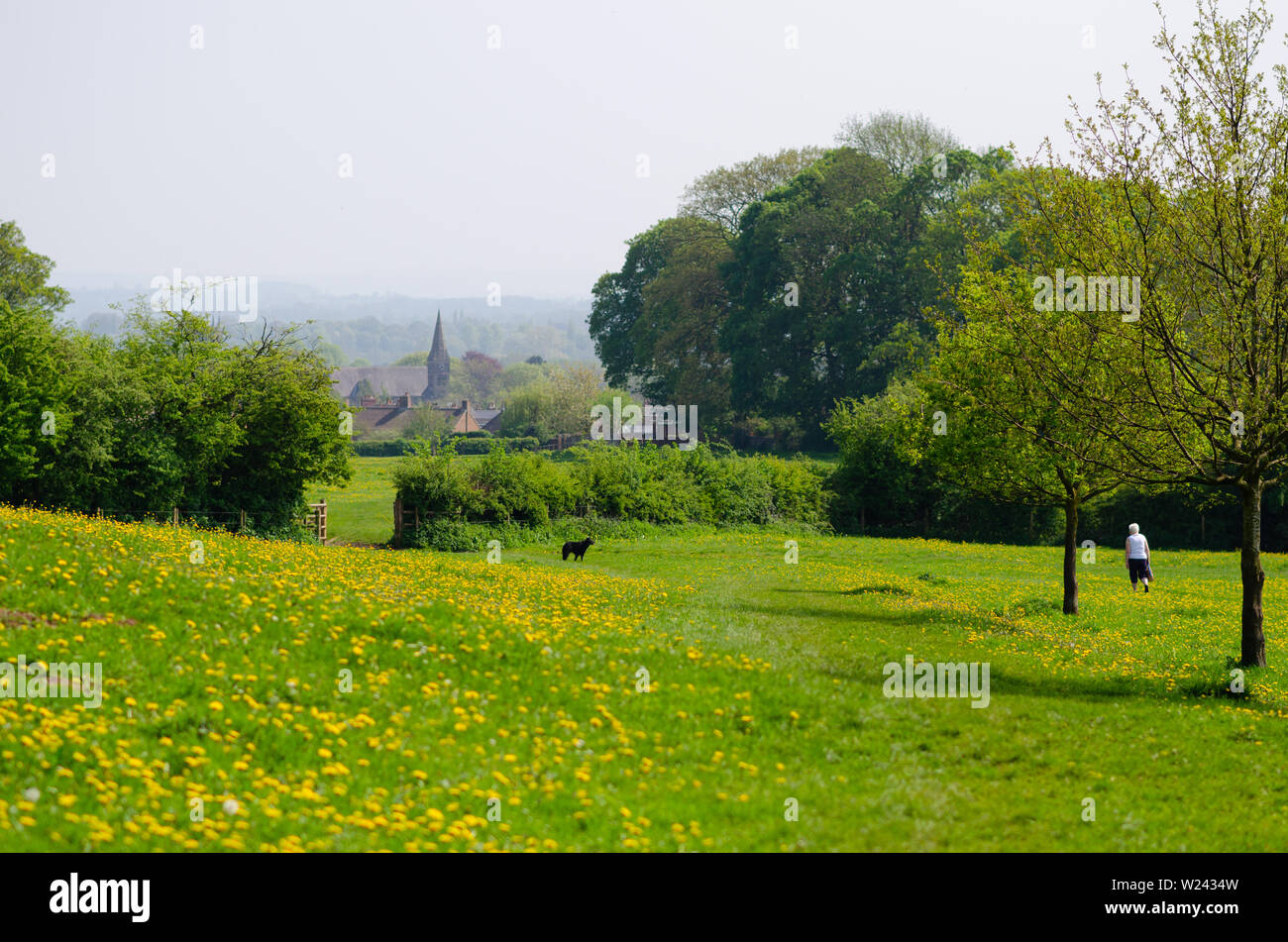 Bellissimo paesaggio di primavera a piccola cittadina inglese. La pietra, Staffrodshire, Regno Unito. Foto Stock