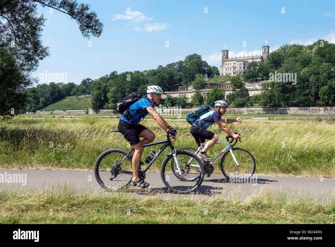 Bicicletta Elba due uomini cavalcano ciclisti in bicicletta lungo il fiume Elba bici Dresda Schloss Albrechtsberg Scene Elba fiume Germania ciclabile Europe Active Foto Stock