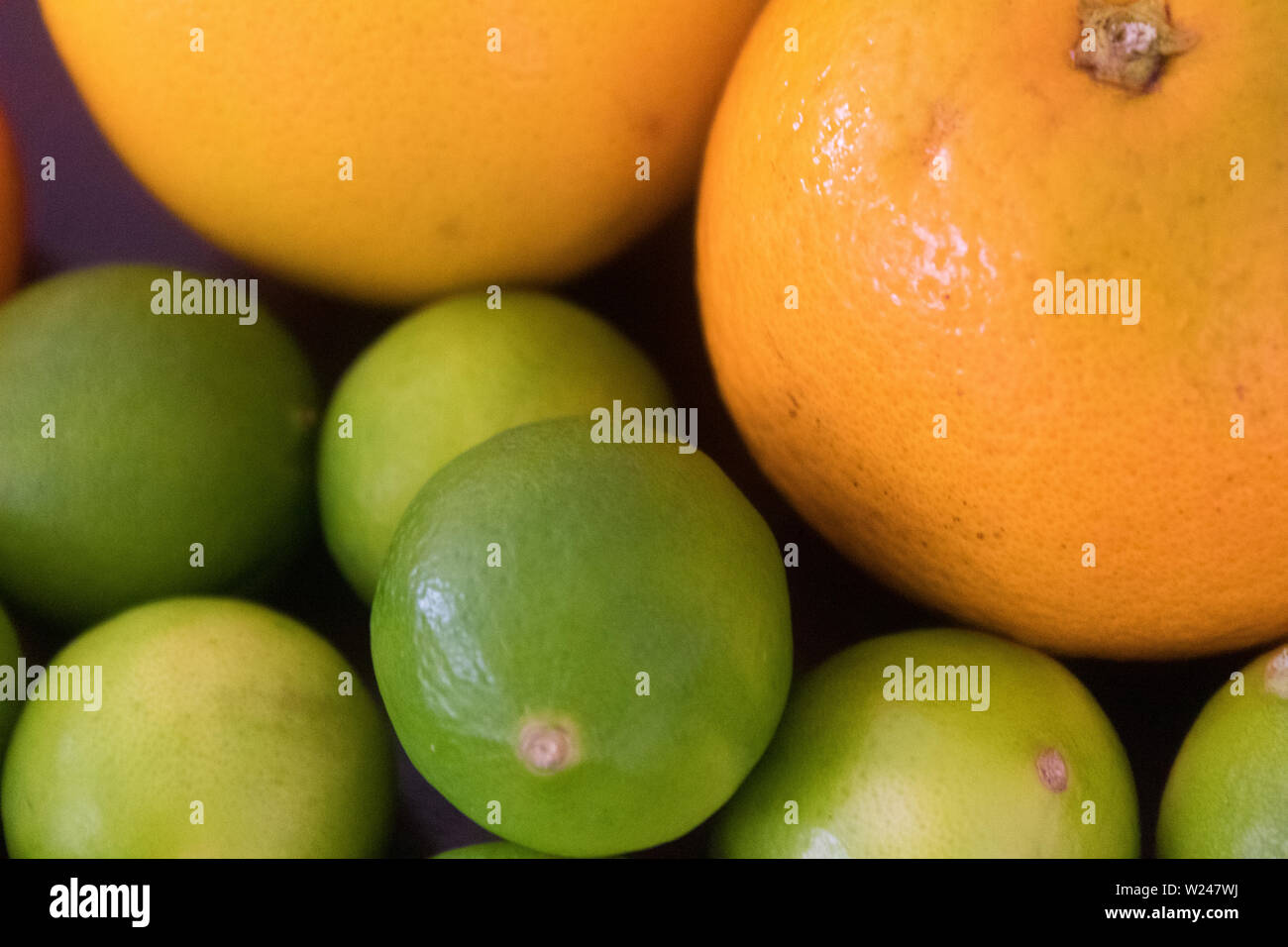 Close-up di arance e limoni Foto Stock
