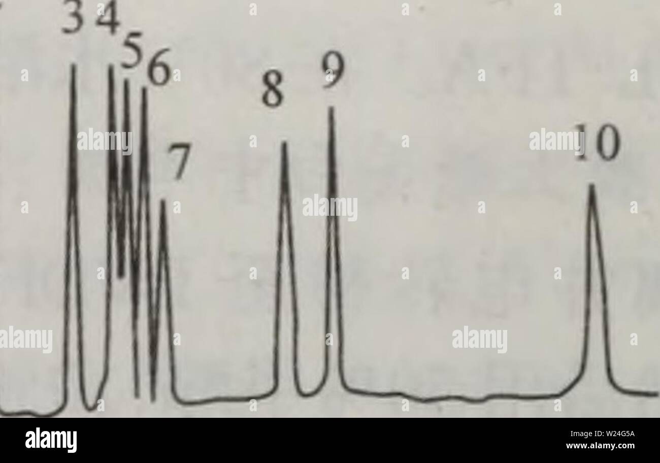 Immagine di archivio da pagina 239 di dan bai zhi hua xue. dan bai zhi hua xue yu dan bai zhi zu xue danbaizhihuaxuey00xiaq Anno: 2004.4 ç"ç®¡çµae³³åç¦"å¾è°±ãåå³°å½å±éè¿ae··ååç³AMACè¡ççä'ae¯ä'åç³AMACè¡ççå ± 2 1 AMAC å¾11 A. 5 10 15 20 25 30 35 //min å¾11.11ae¯ç"ç®¡çµae³³åç¦"9ç§åç³AMACè¡ççae¡ä"¶:çèç³è±ae¯ç"ç®¡ï¼å å¾5(Vmï¼ae"é¿62cmï¼aeaeé¿åº¦40cm;çµae³³ç¼å²ae¶²ï¼ lOOmmol/litro di Na2B407-pHlO NaOHï¼.5;çµae³³çµåä"º14kV;ae£aeµae³¢é¿264nm;åç³AMACè¡ççaeµåº¦åä"º2(Vmol/Lï¼ççºè¿ae ·2s(çº¦6nl)ãåå³°å½å±:"1.iV -ä¹é ·ae°£åºåä¹³ç³;2.ae¨ç³;3.ae 'ç³ï¼ 4.N-ä¹é °ae°¨åºè¡èç³ï¼5.è¡èç³ï¼6.çé²ç³ï¼7.é aeä¼ ¿¯ç³;8.å²è"ç³;9.åä¹³ç³ï¼10.èae¡é "ï¼å ae ï¼ è Foto Stock