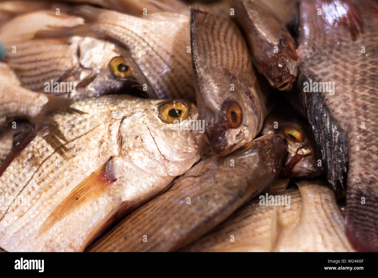 Pesce fresco nel mercato. Marine approccio alimentare di scale e la pelle del pesce dal mare. Foto Stock