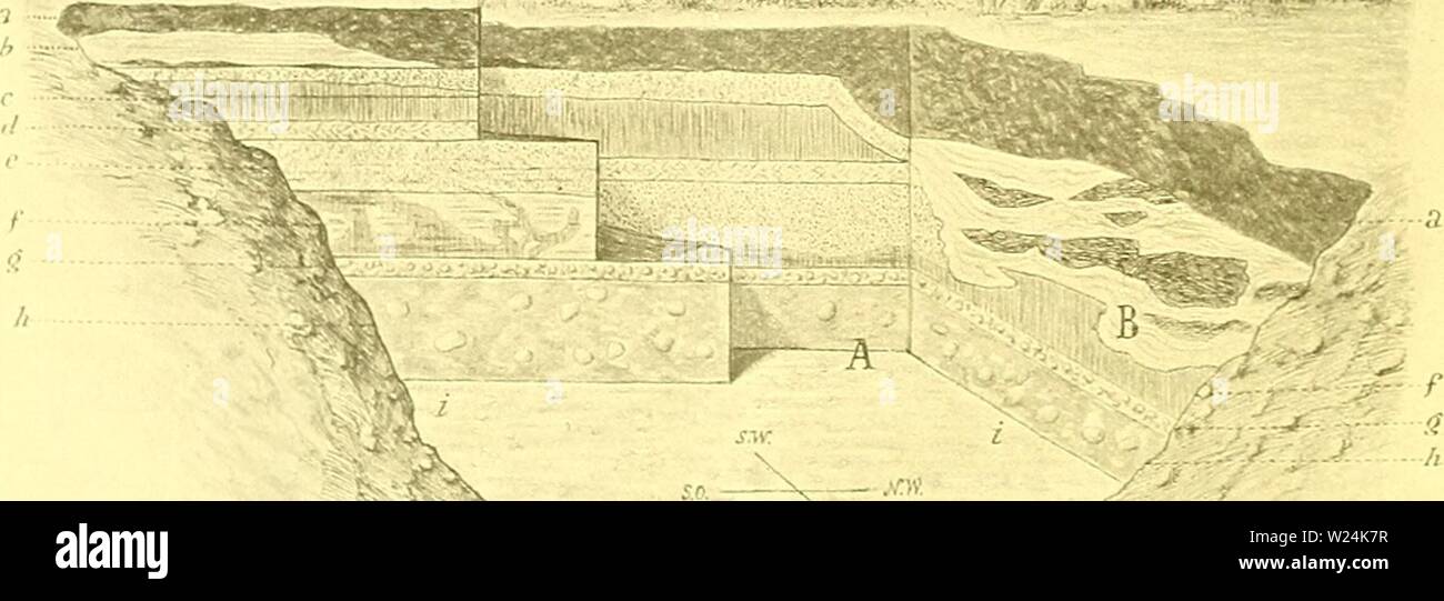Immagine di archivio da pagina 1055 di Denkschriften - Österreichische Akademie der. Denkschriften - Ãsterreichische Akademie der Wissenschaften denkschriftens681900akad Anno: 1850 872 n Ahcl, 1 II. ISiirmcisUr, Uii siiiin.ctK-. .IikhiIhhis, .1 iitwiy|'-cif Zciih'l'itlo'iliiliic. Annali e inanu/.lns di storia naturale. v..|. VII. l. scr., l.ofulDii IK7I, p. .'Il, pl. I. "â â ¢ (&GT;. V. Arthabcr, Ãber Trioiiyx roslrnliis von Au am l.eillmgebirBC. licIlrÃKC zur Geol. und Pal. Ãslcrr.-Uiig. u. d. Orienta, IUI. XI. Wien IHDS, p. C&GT;0. Ob das vorlie.nencle .Sliick, welches sich in der palHconlo Foto Stock