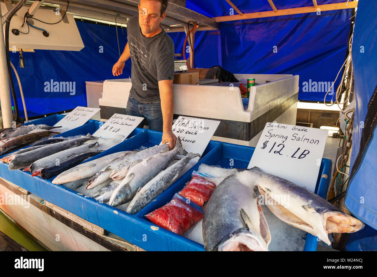 Canada, British Columbia, Steveston, Fisherman Wharf, frutti di mare vendita diretta dalla barca Foto Stock