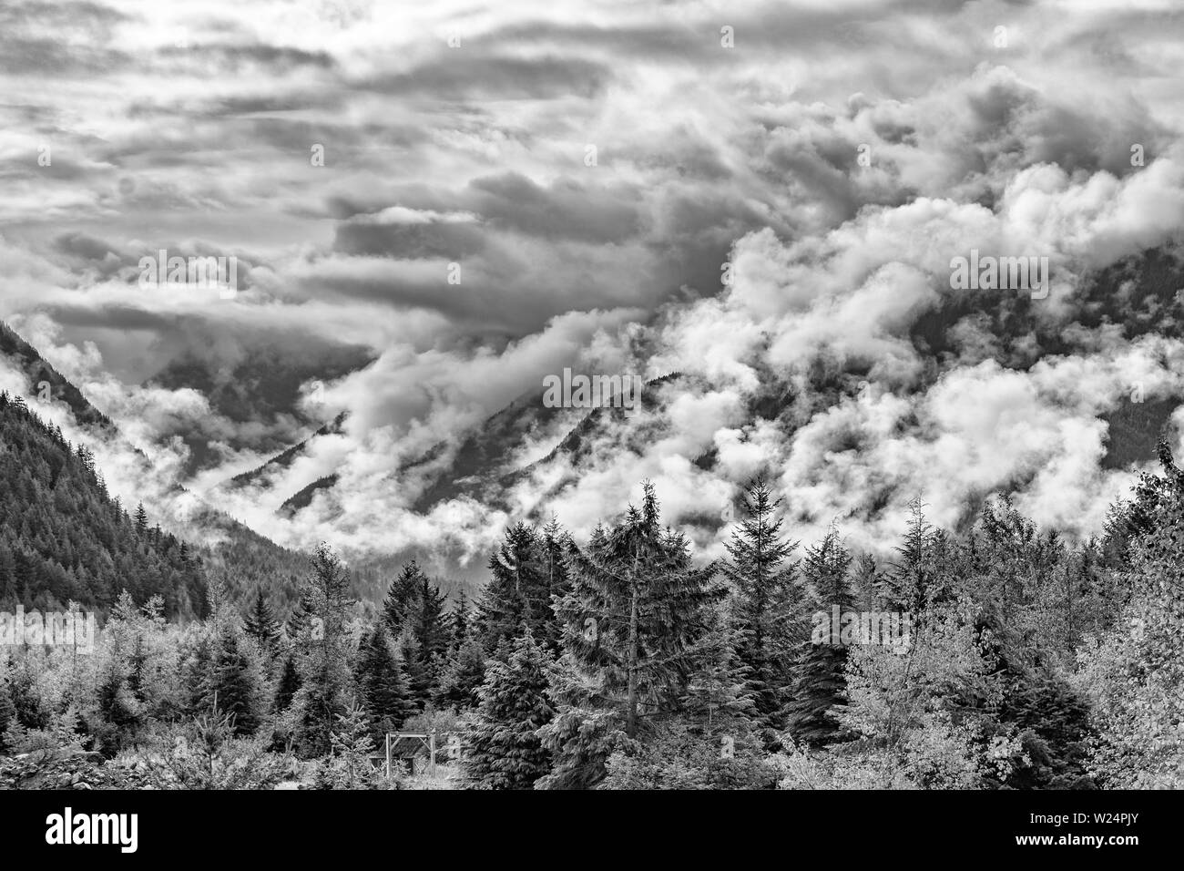 Canada, British Columbia, Speranza prossimità, Nicolum Creek Valley, monocromatica, B&W Foto Stock