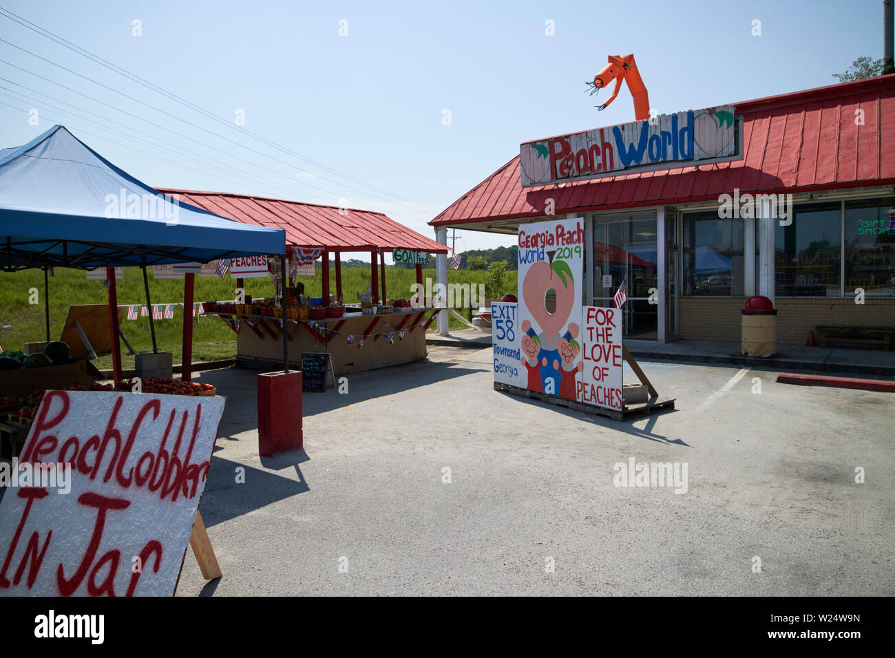 La Georgia peach mondo piccoli che vendono georgia fresco pesche townsend georgia usa Foto Stock